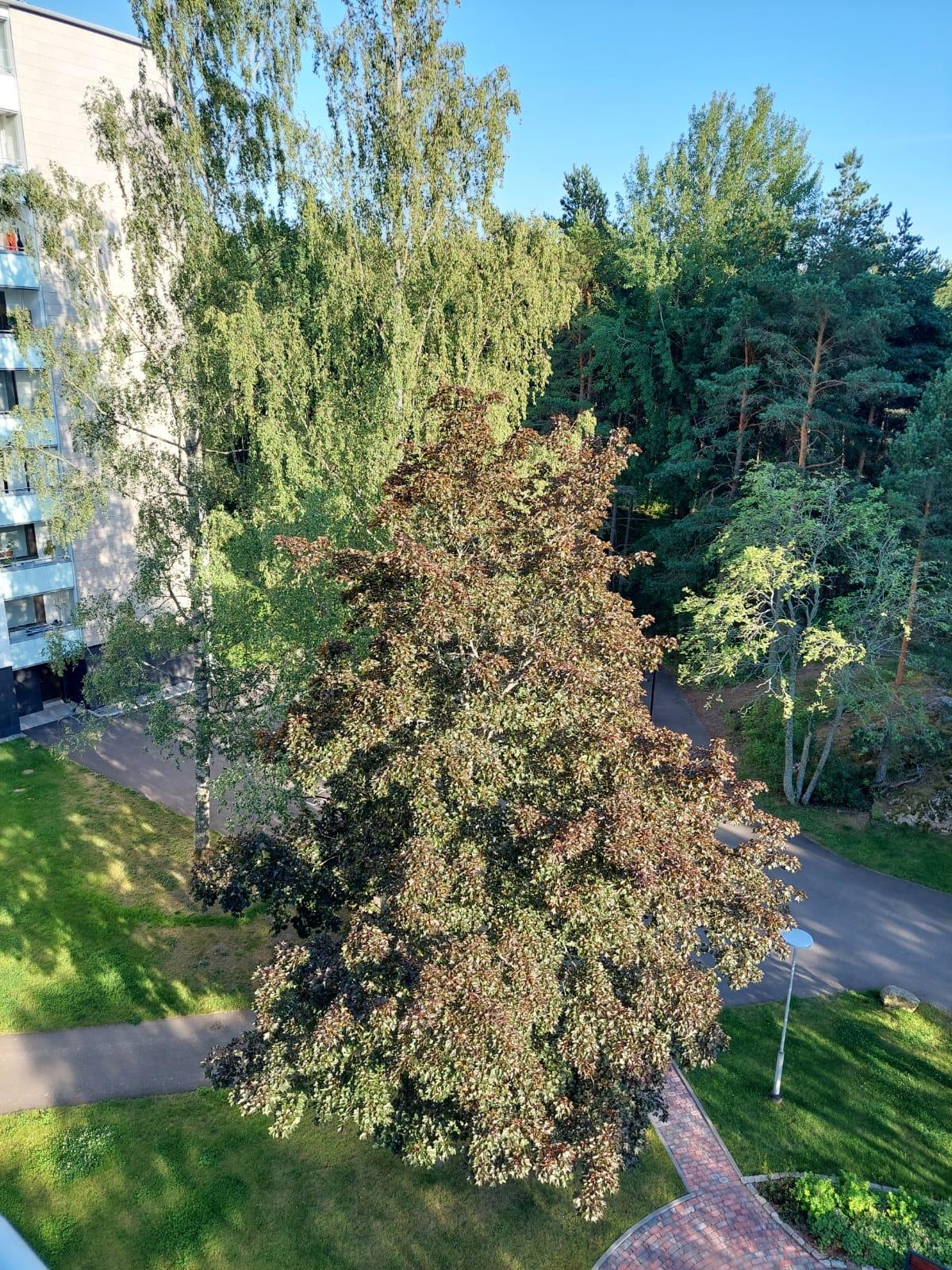 Jahtilähteenkatu 8, Hepokulta, Turku