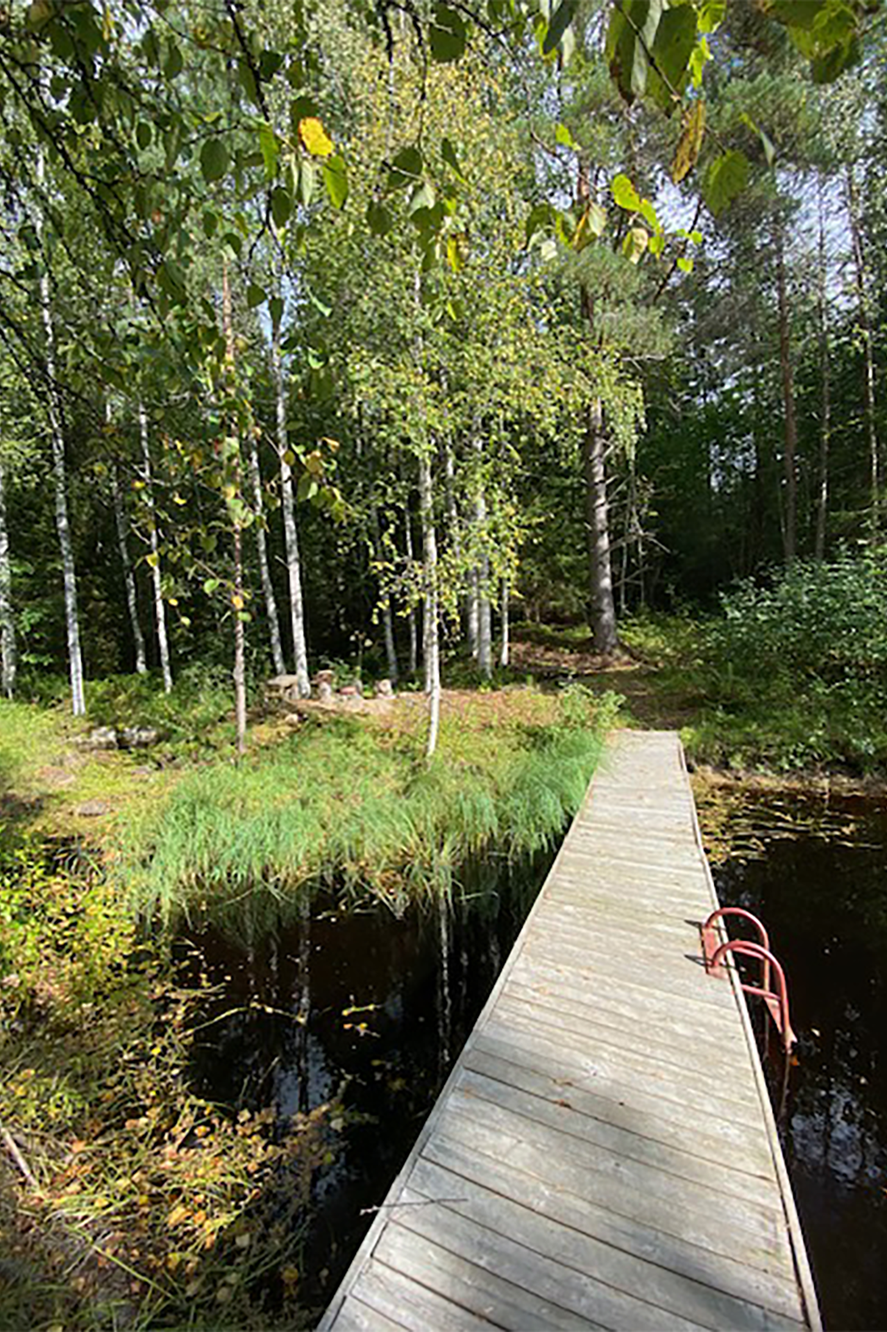 omistajan kesäkuva lammesta