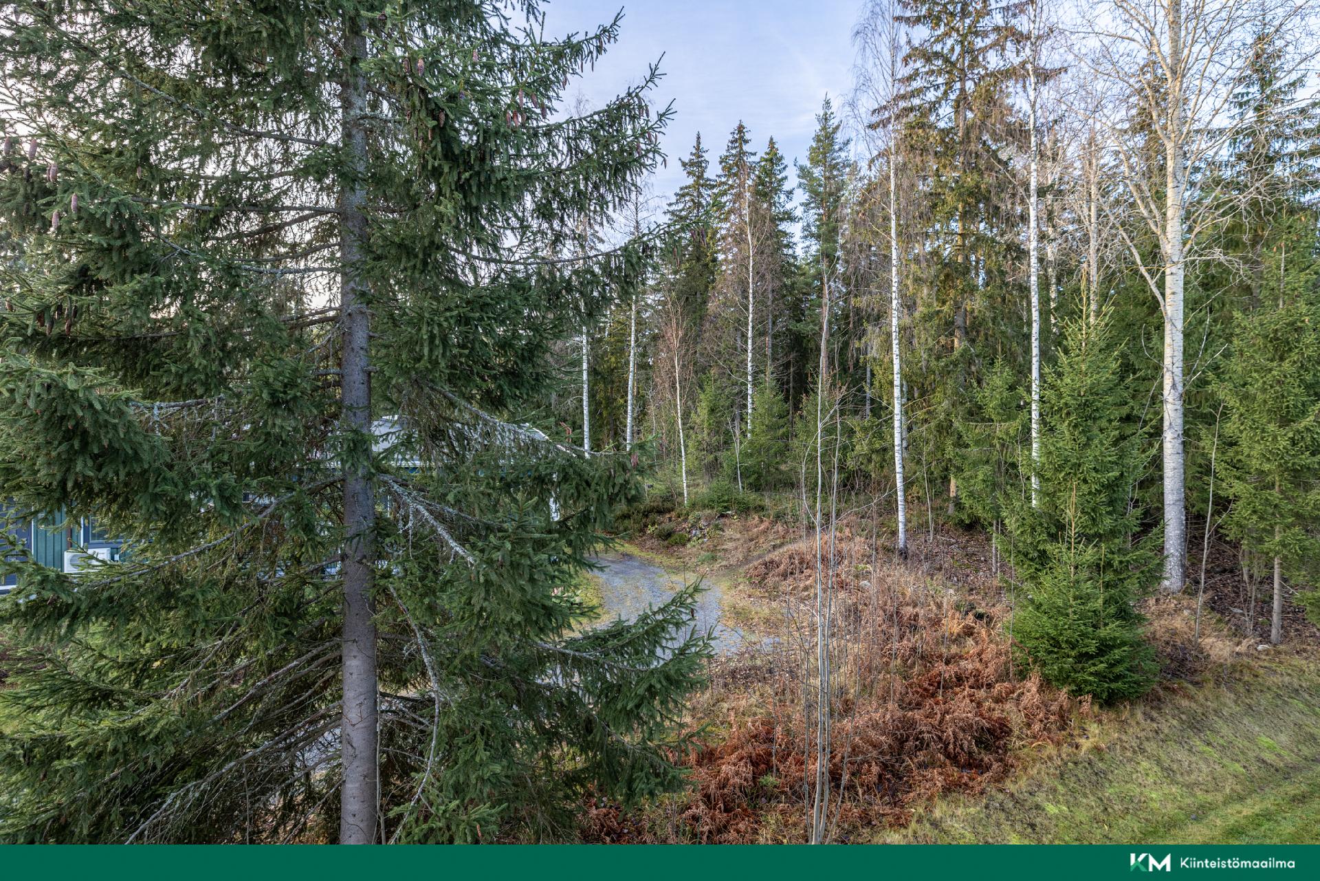 Harjutie 3, Rantakylä, Mikkeli