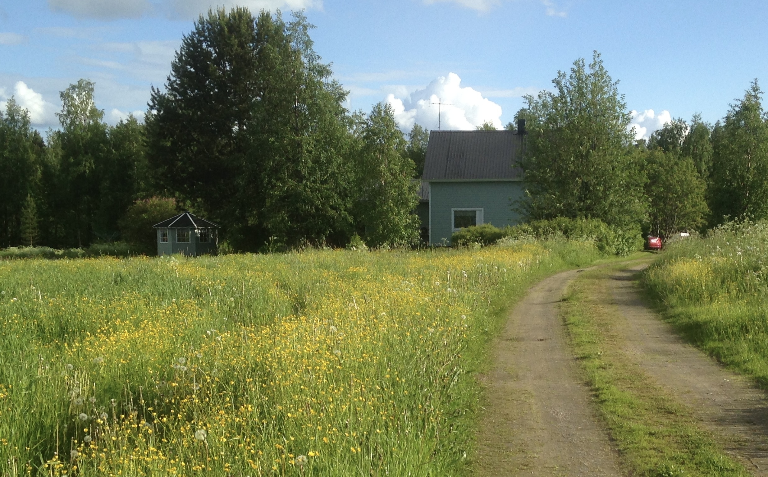 Kalmoniementie 38, Ylisotkamo, Sotkamo