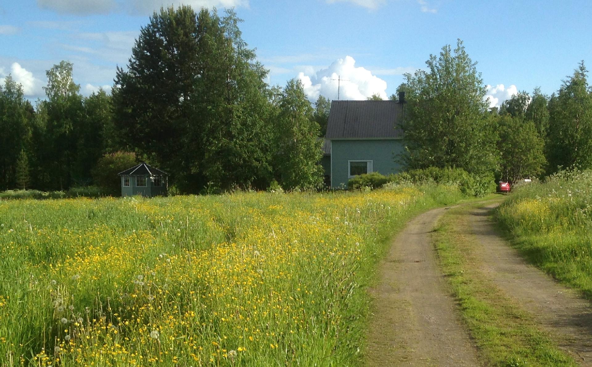 Kalmoniementie 38, Ylisotkamo, Sotkamo