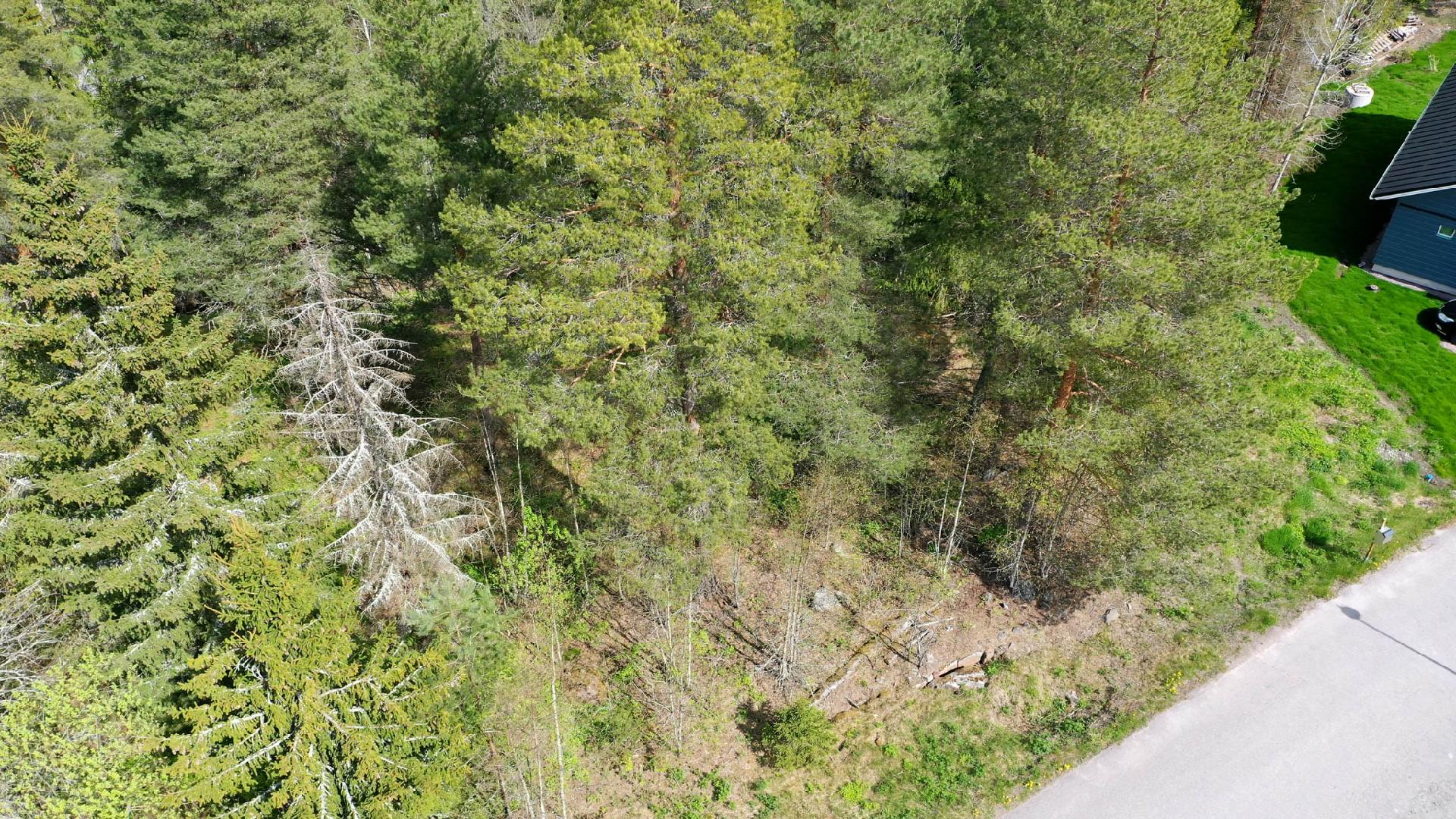 Tammijoentie 18, Otalampi, Vihti