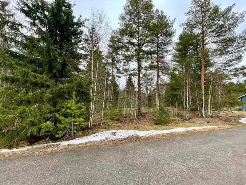 Tammijoentie 18, Otalampi, Vihti