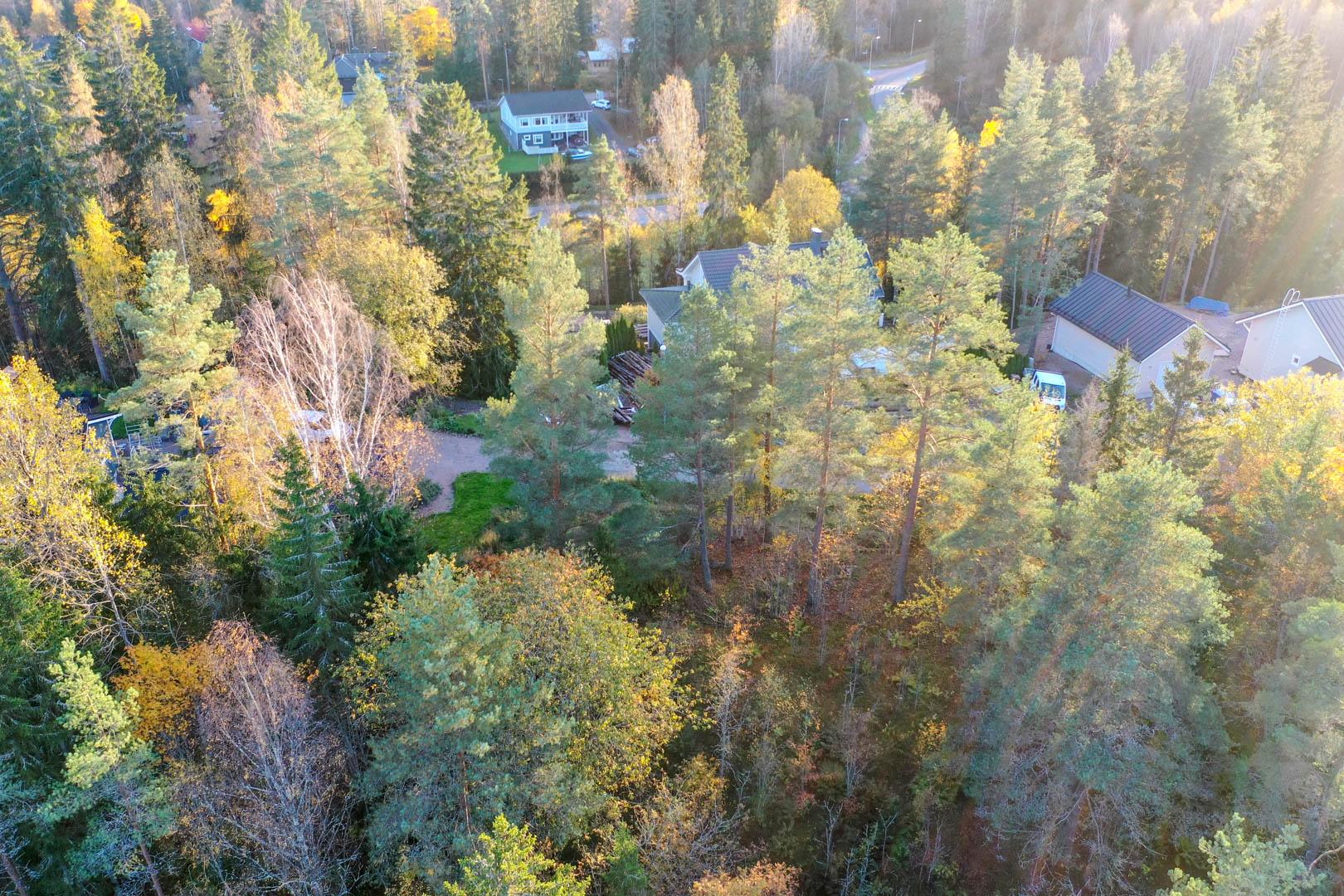 Tammijoentie 18, Otalampi, Vihti