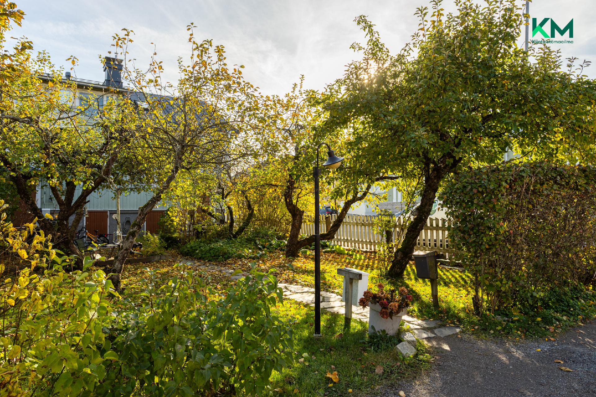 Tervahovinkatu 18, Martti, Turku