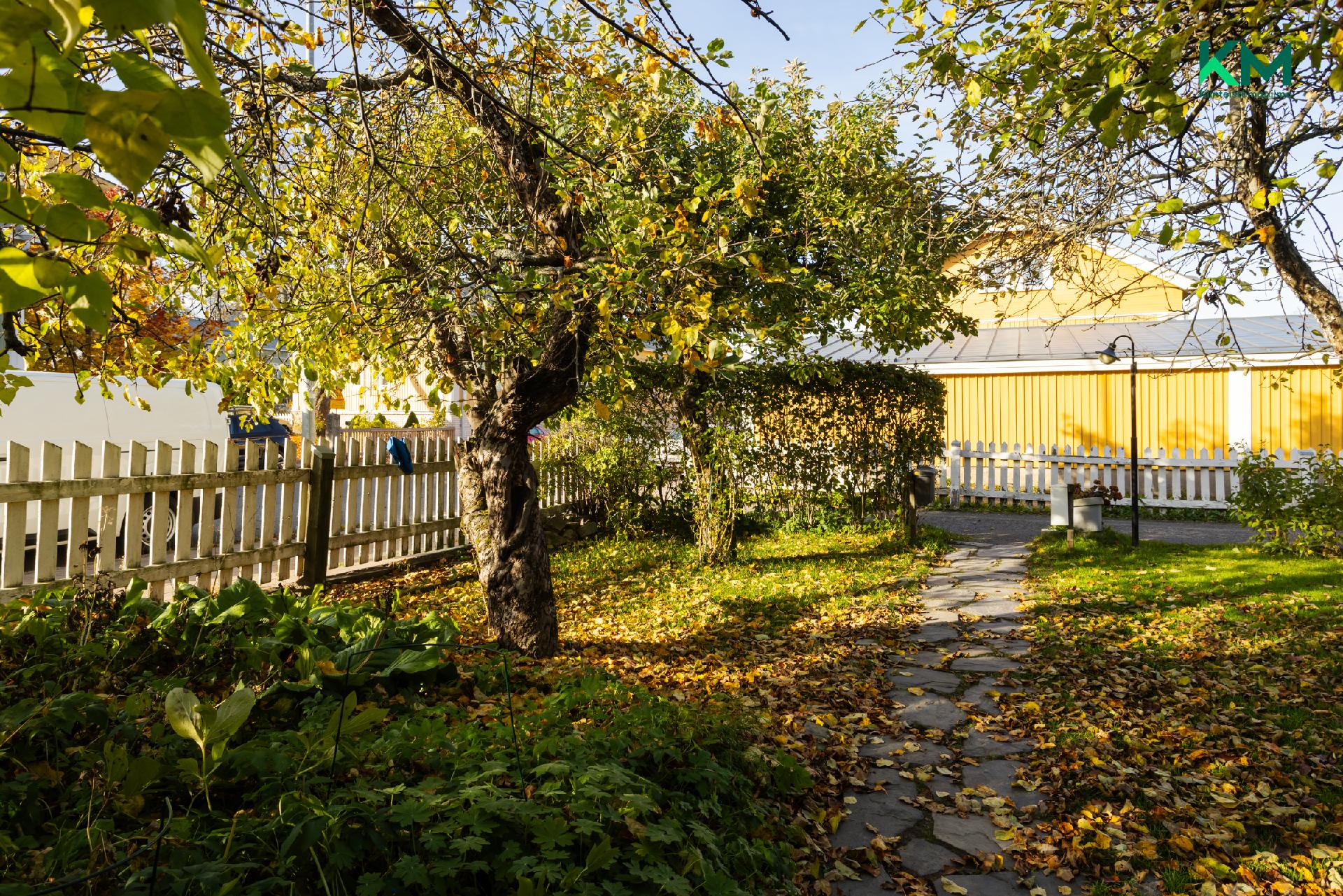 Tervahovinkatu 18, Martti, Turku