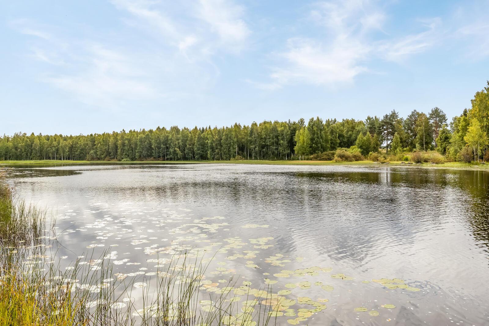 Vaikkojoentie 36, Kortteinen, Kaavi