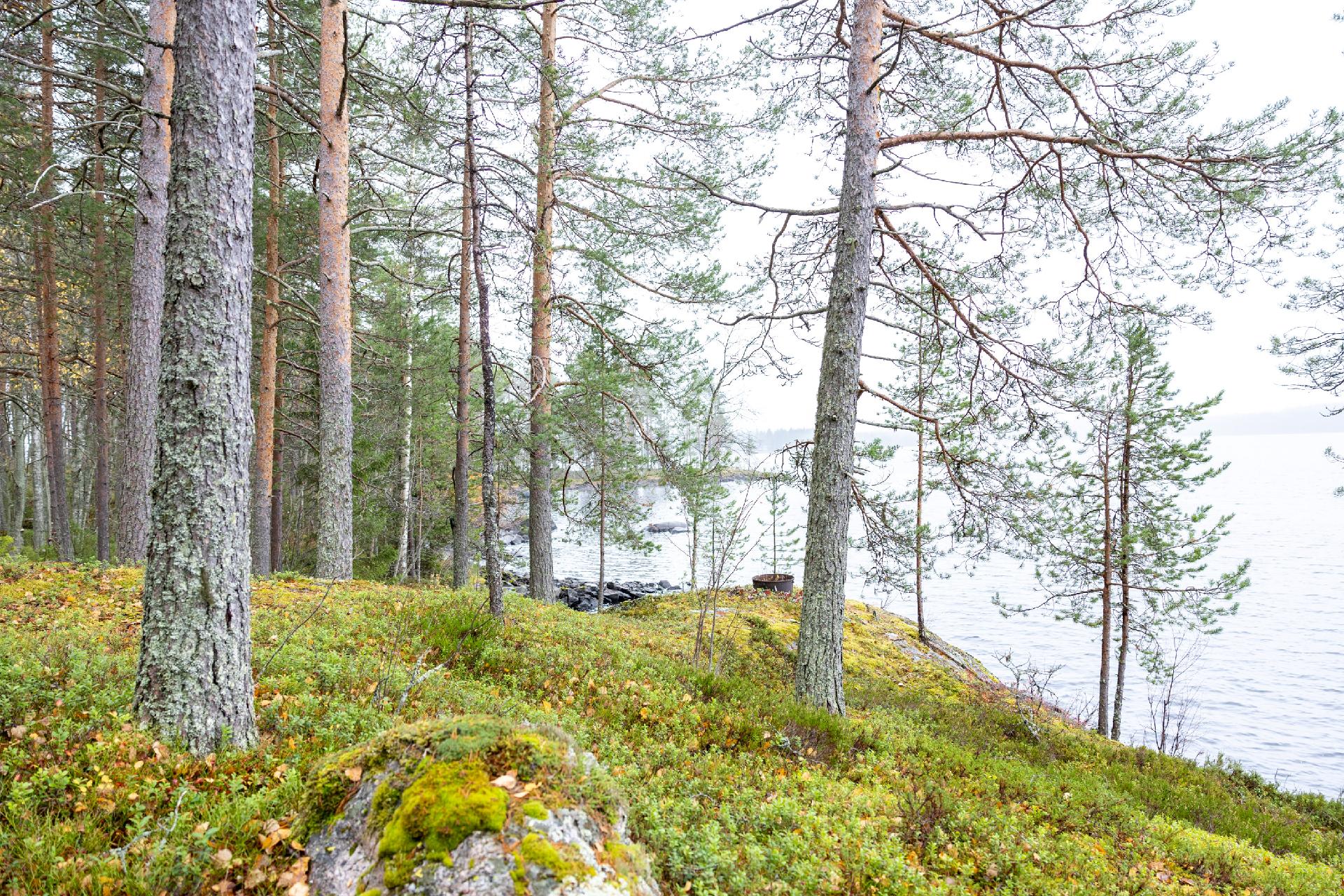 Meriläntie 10B, Korholanmäki, Sotkamo