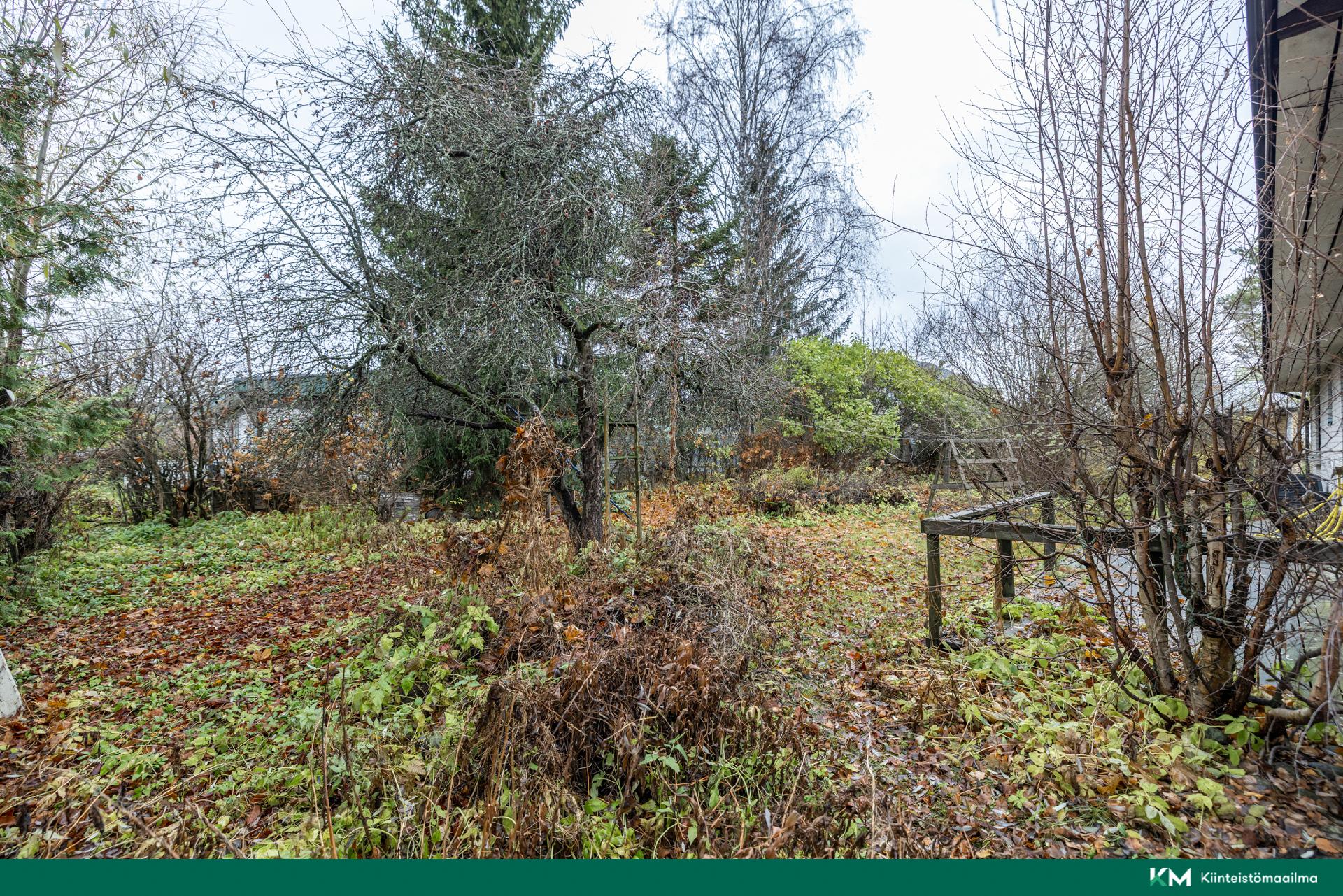 Peiponkuja 3, Lähemäki, Mikkeli