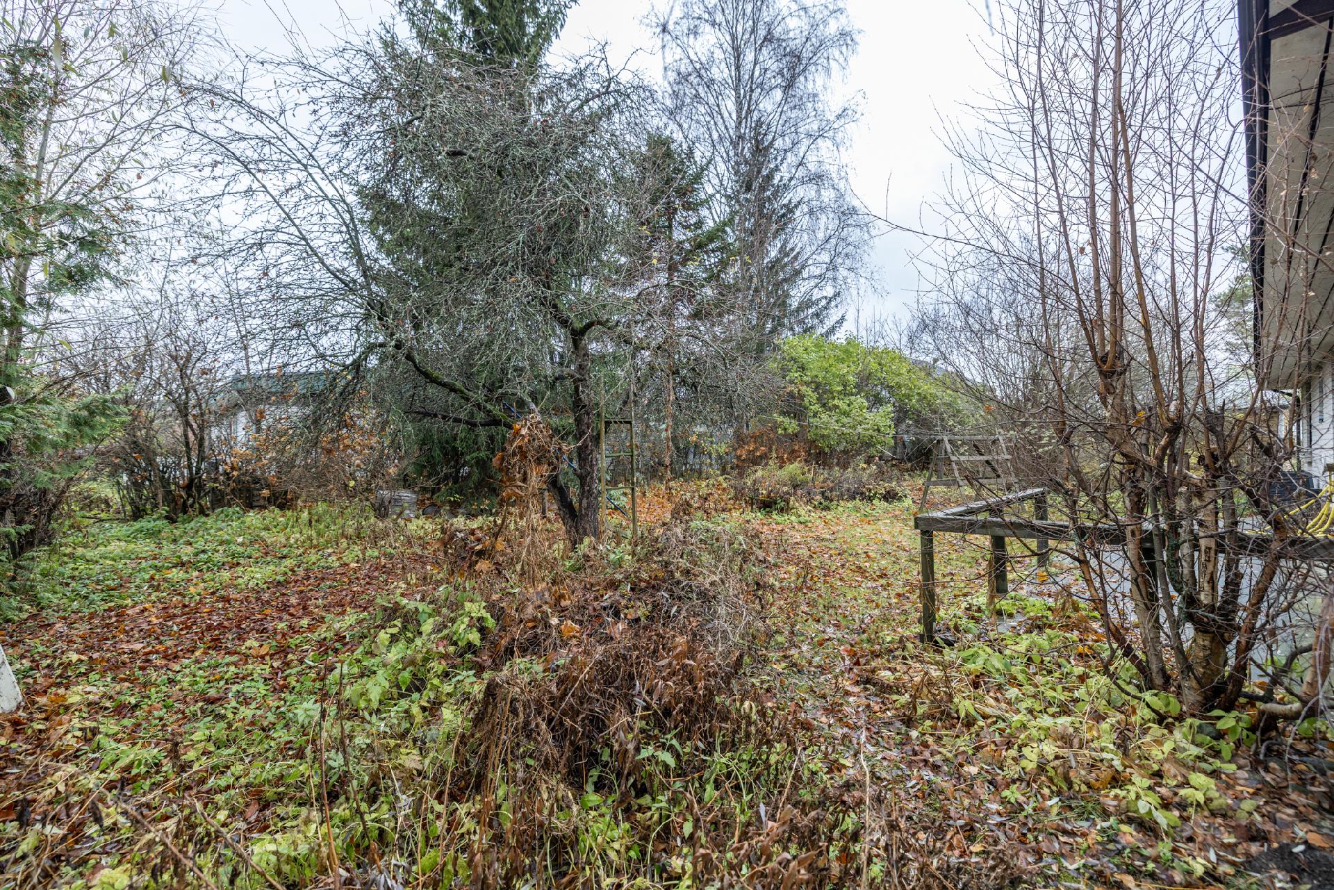 Peiponkuja 3, Lähemäki, Mikkeli