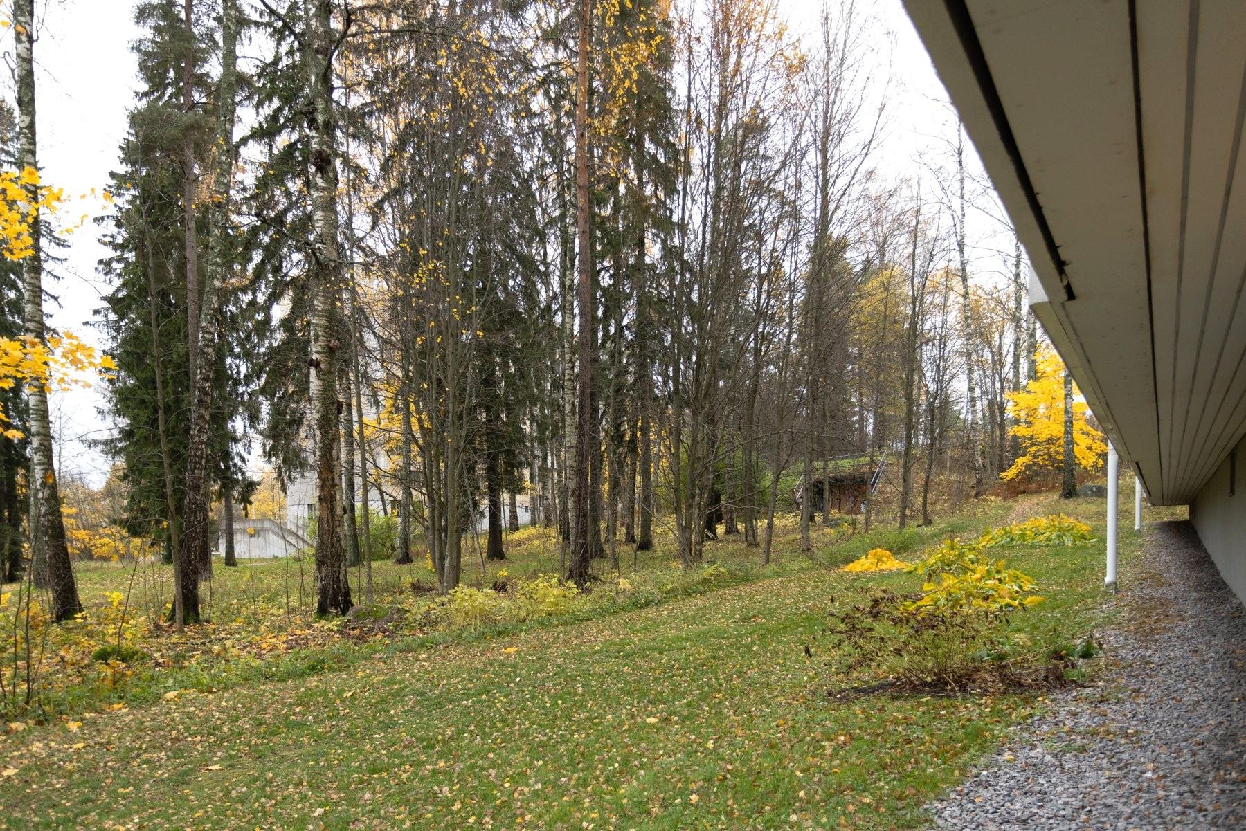 Talon takapiha aluetta