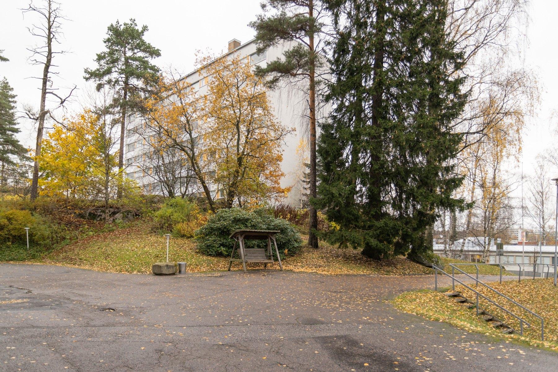 Taloyhtiön piha-aluetta