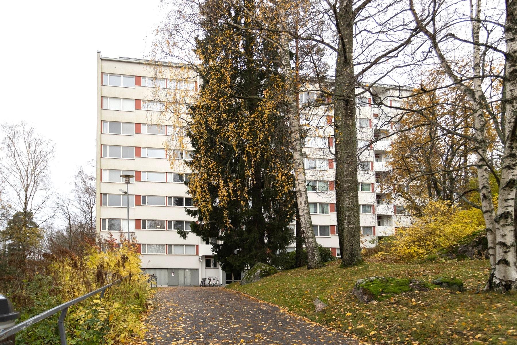 Olavinlinnantie 4, C-D-raput