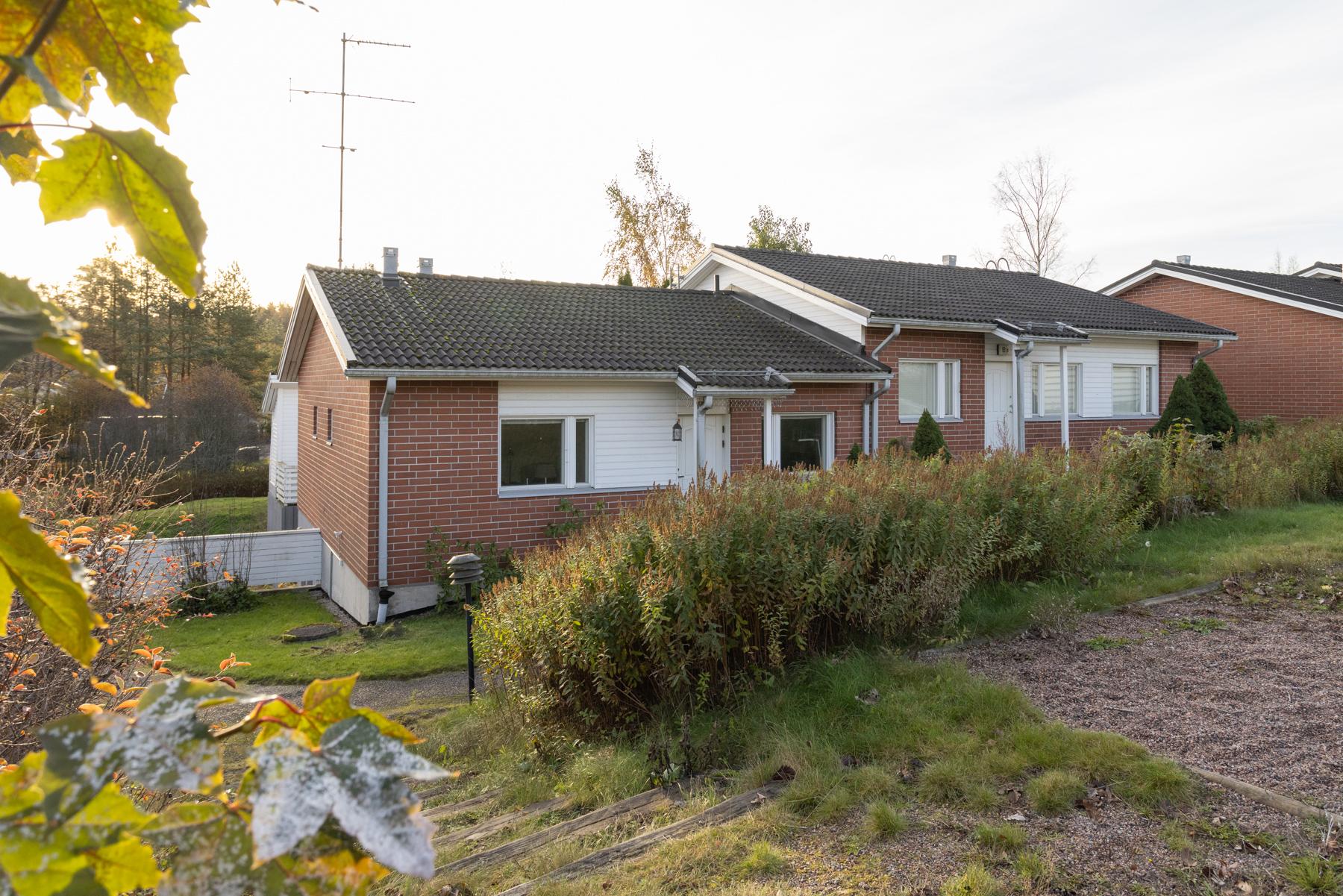 Taloyhtiön pihaa (vehreään aikaan)