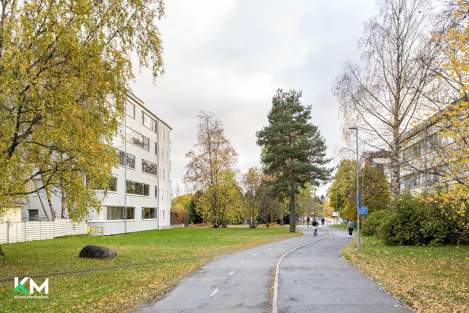 Koskitie 39, Tuira, Oulu