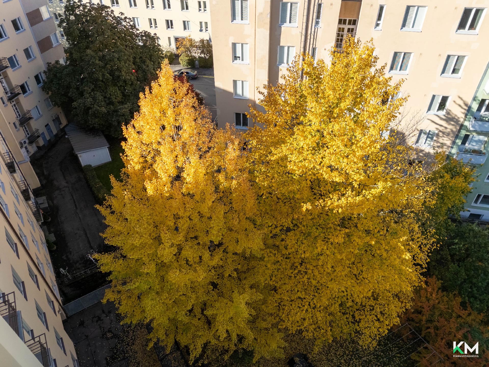 Messeniuksenkatu 3, Taka-Töölö, Helsinki