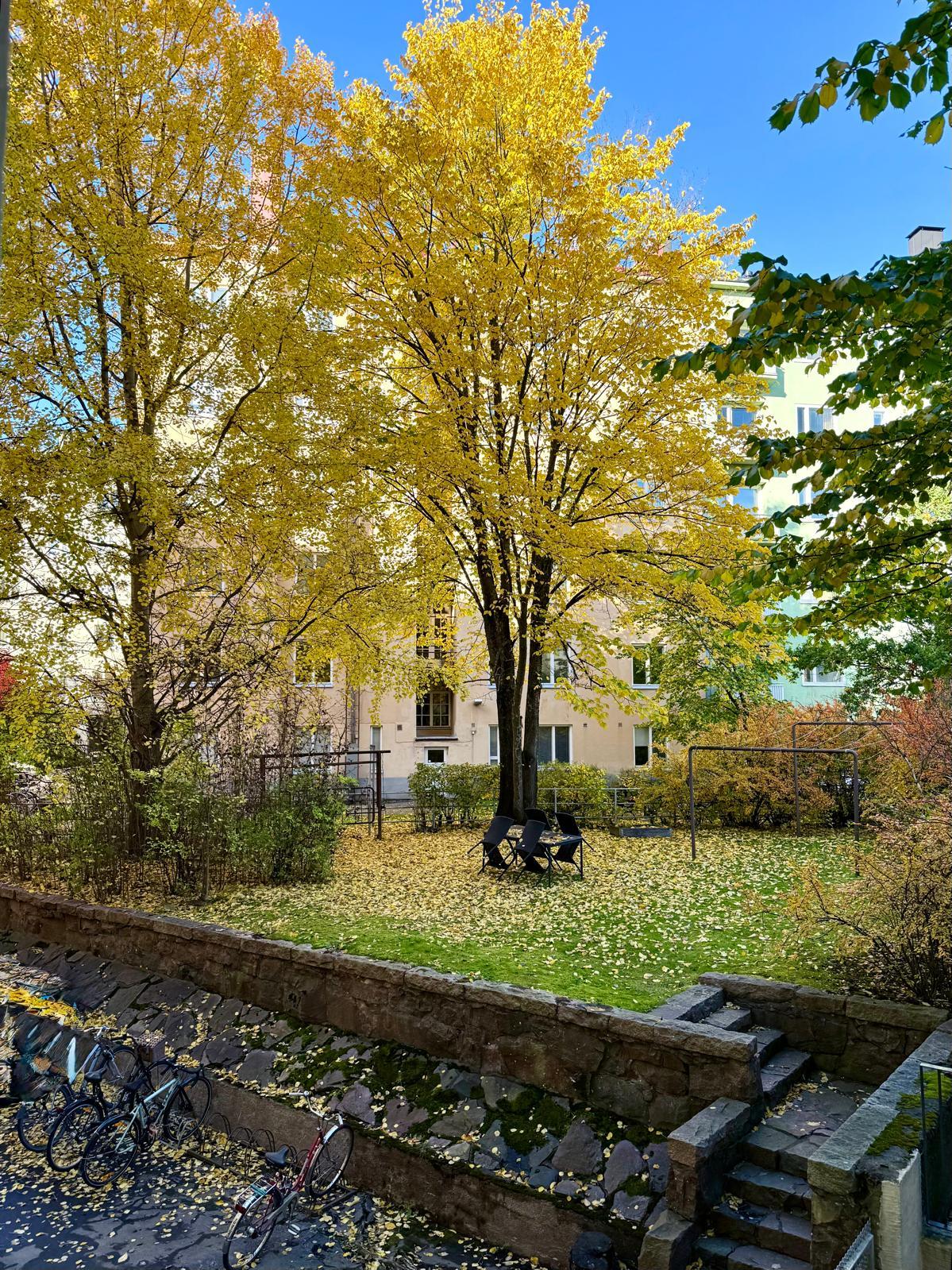 Messeniuksenkatu 3, Taka-Töölö, Helsinki