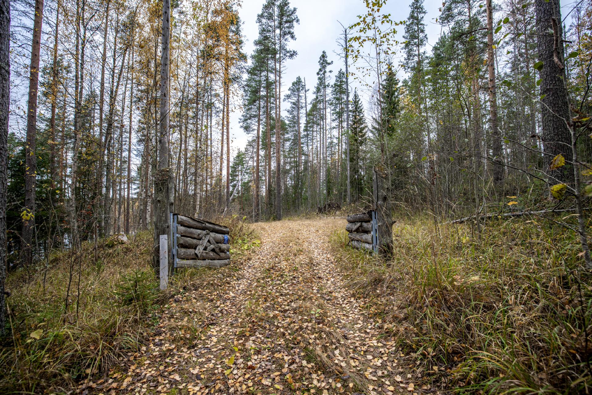 Sileäniementie 5, Mikkeli