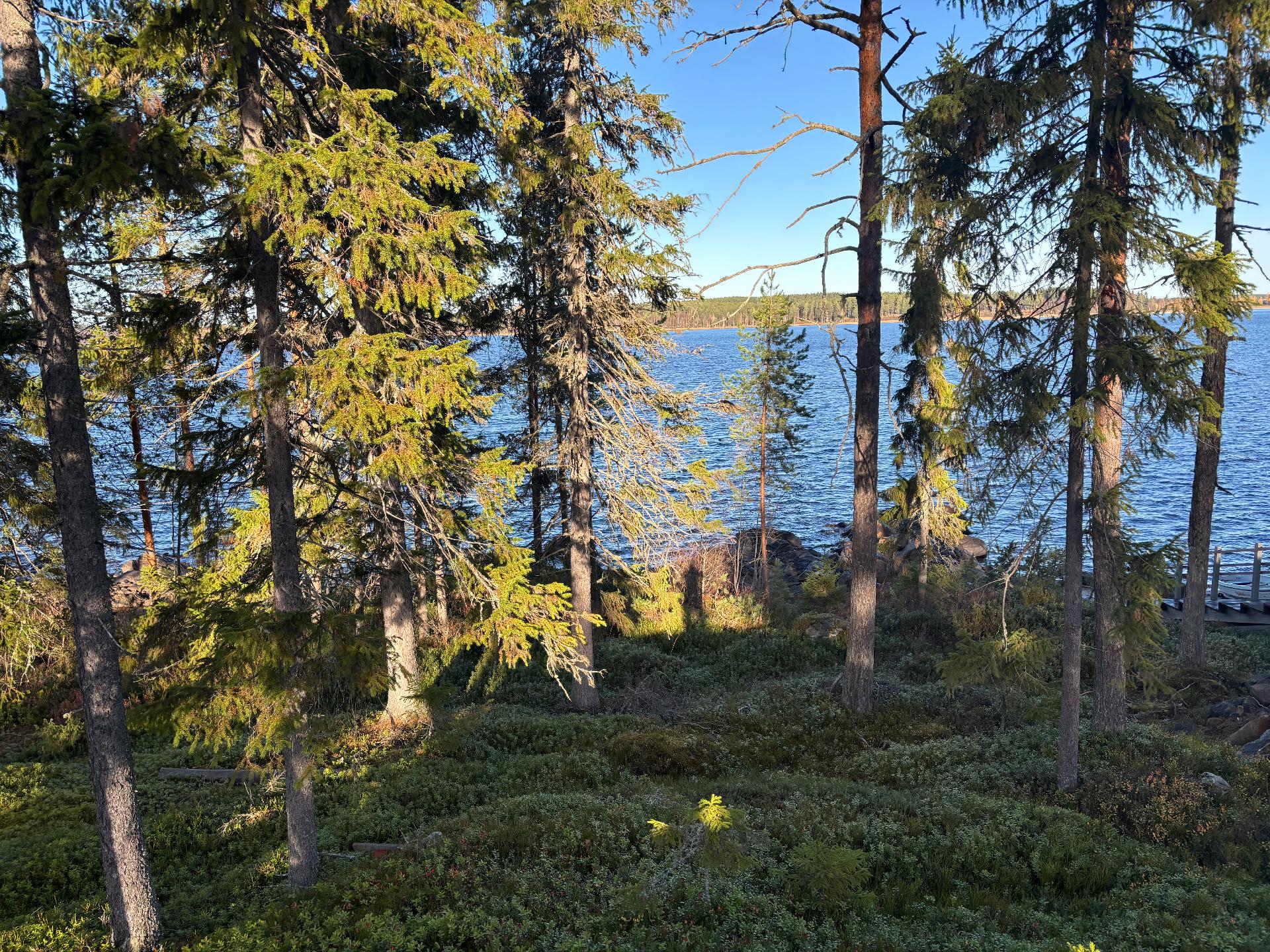 Valokkitie 4, Alasotkamo, Sotkamo