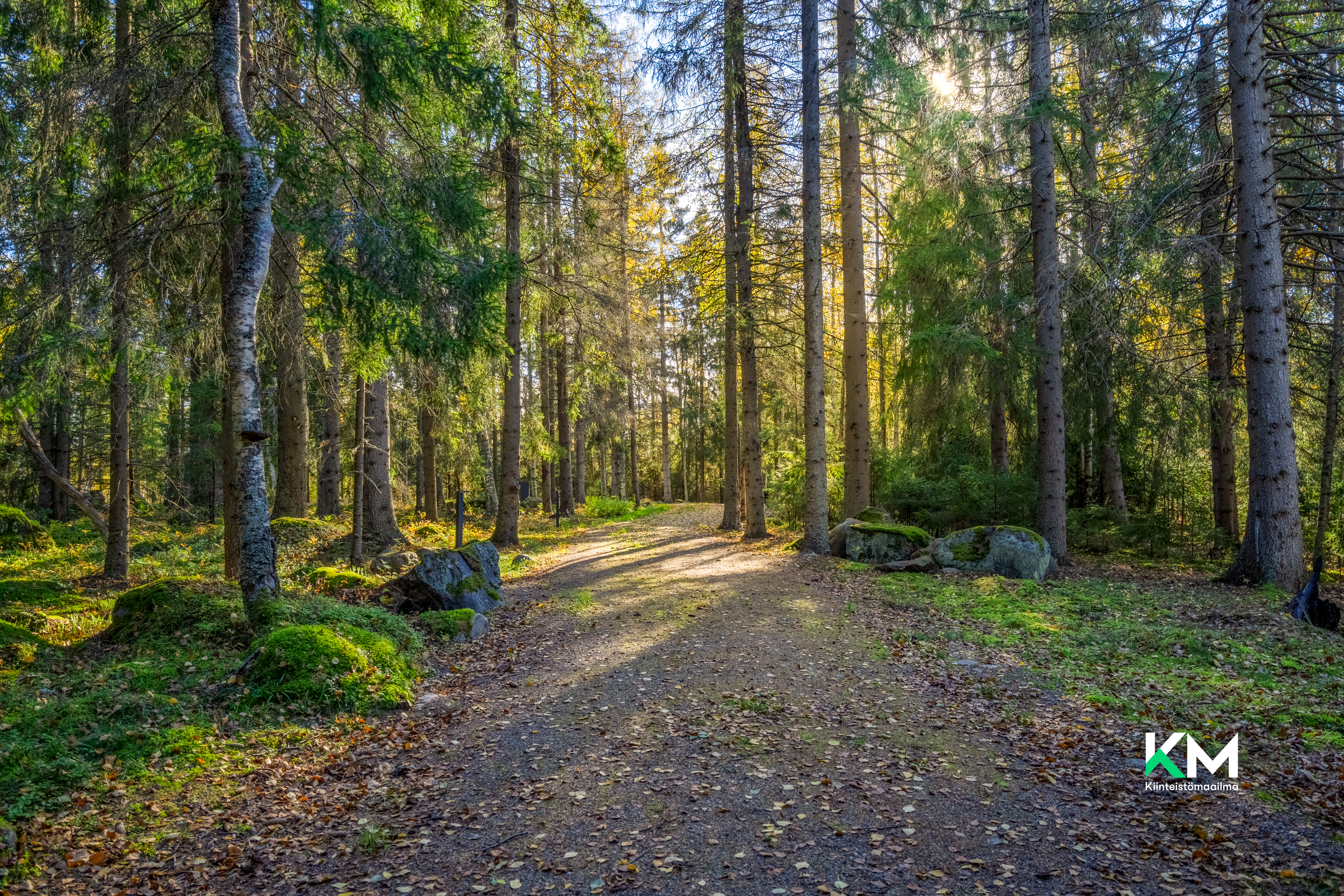 Kummelikuja 4, Himanka, Kalajoki