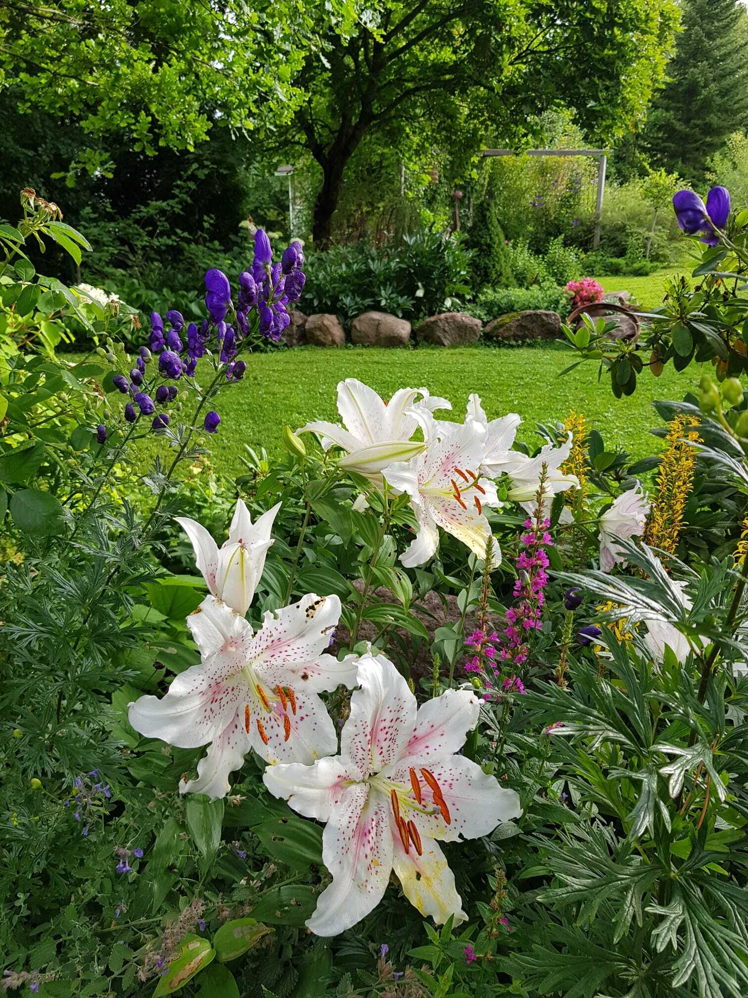 Vallikatu 11, Kierikkala, Kotka