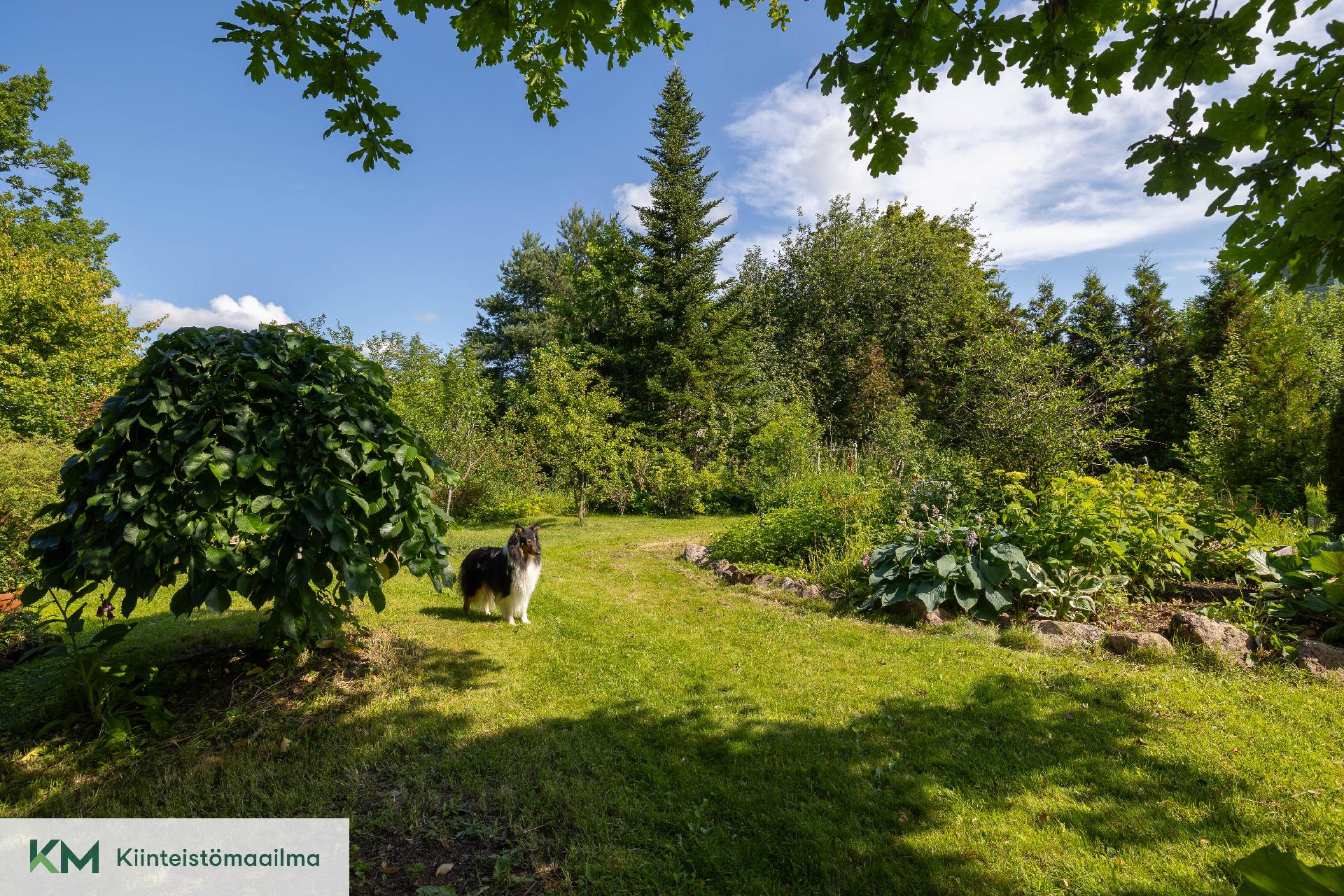 Vallikatu 11, Kierikkala, Kotka