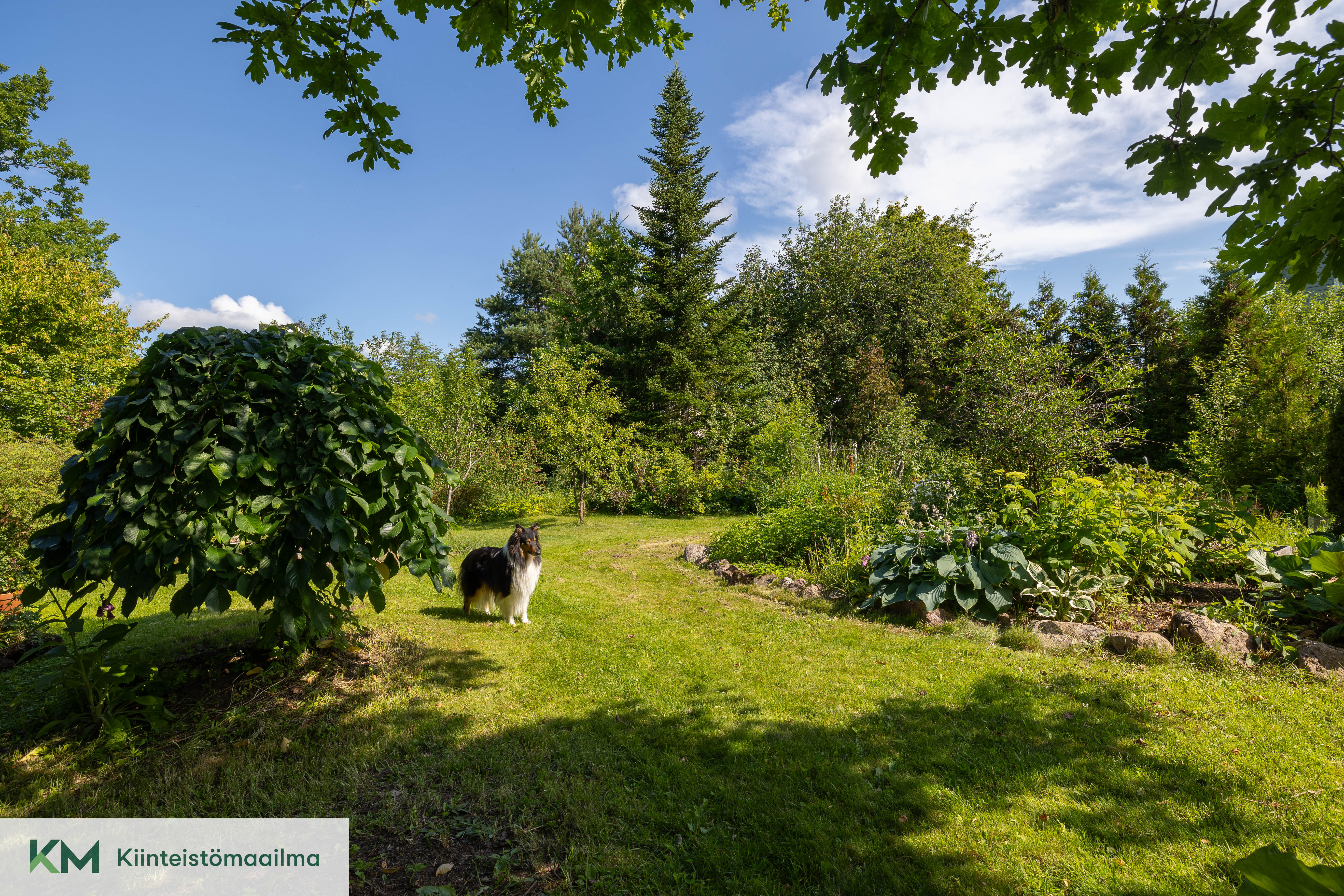 Vallikatu 11, Kierikkala, Kotka