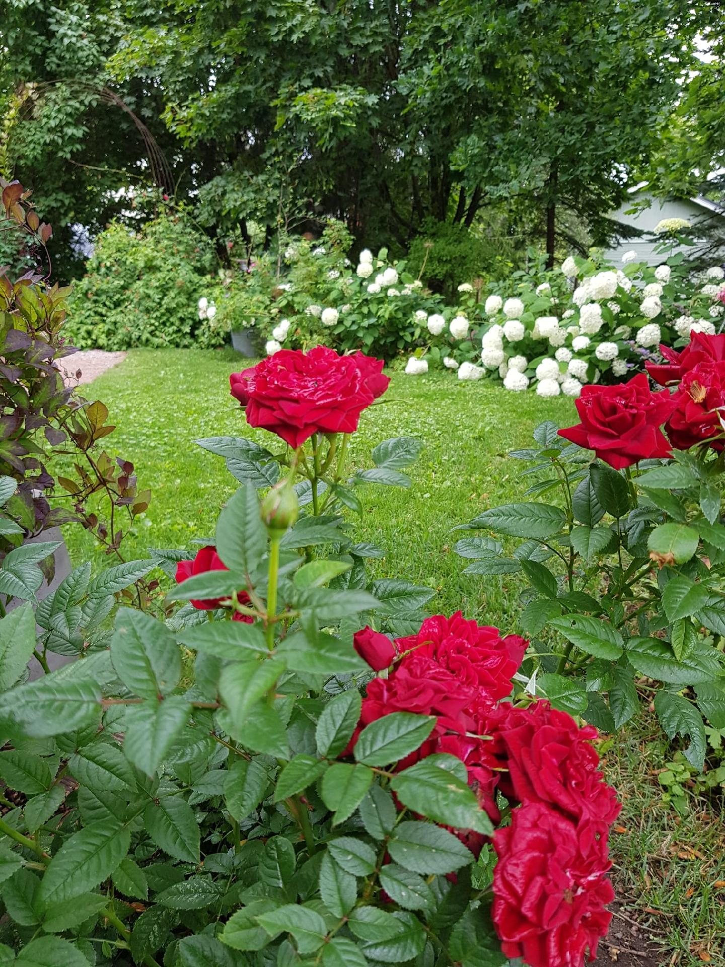 Vallikatu 11, Kierikkala, Kotka