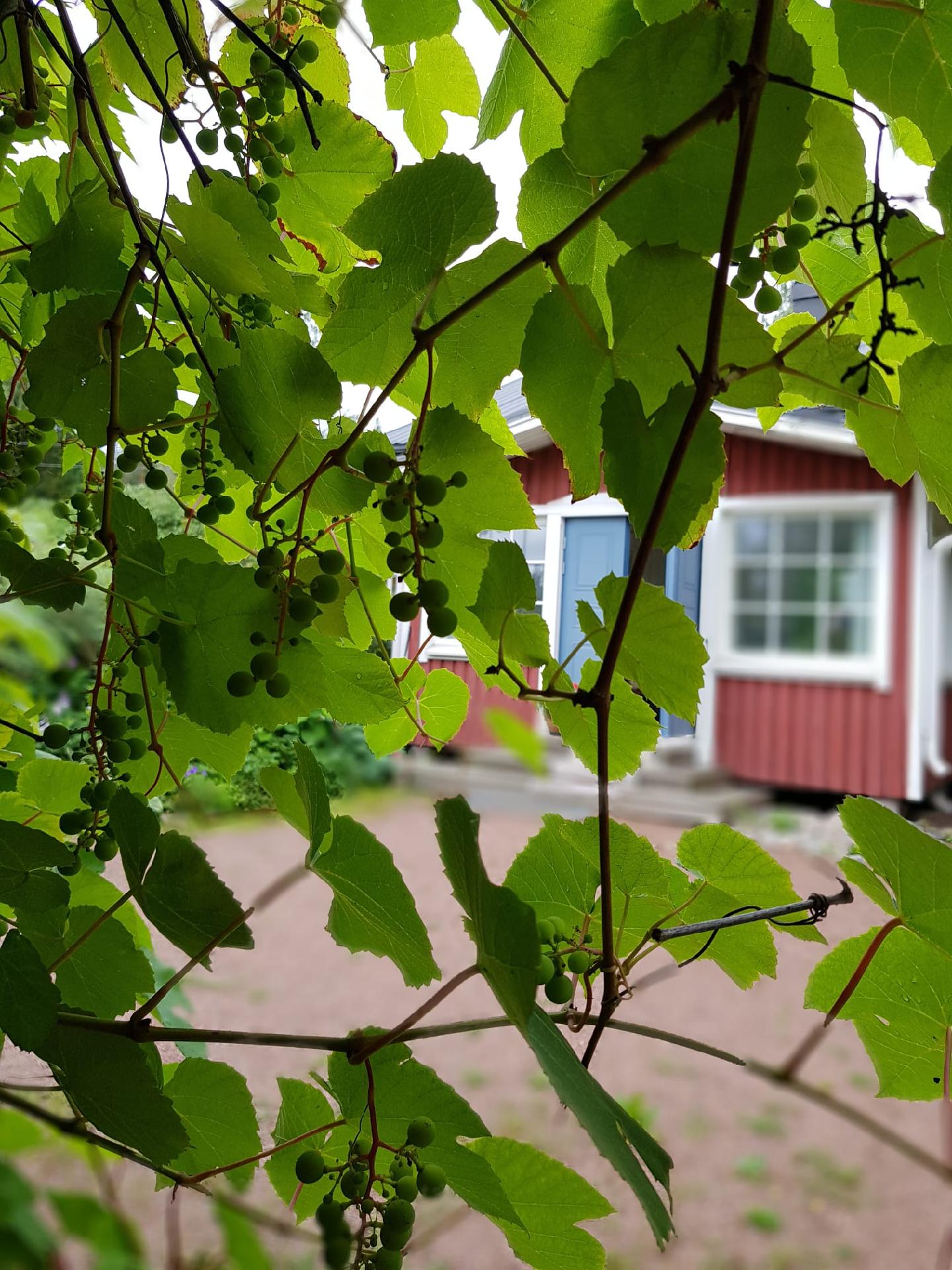 Vallikatu 11, Kierikkala, Kotka