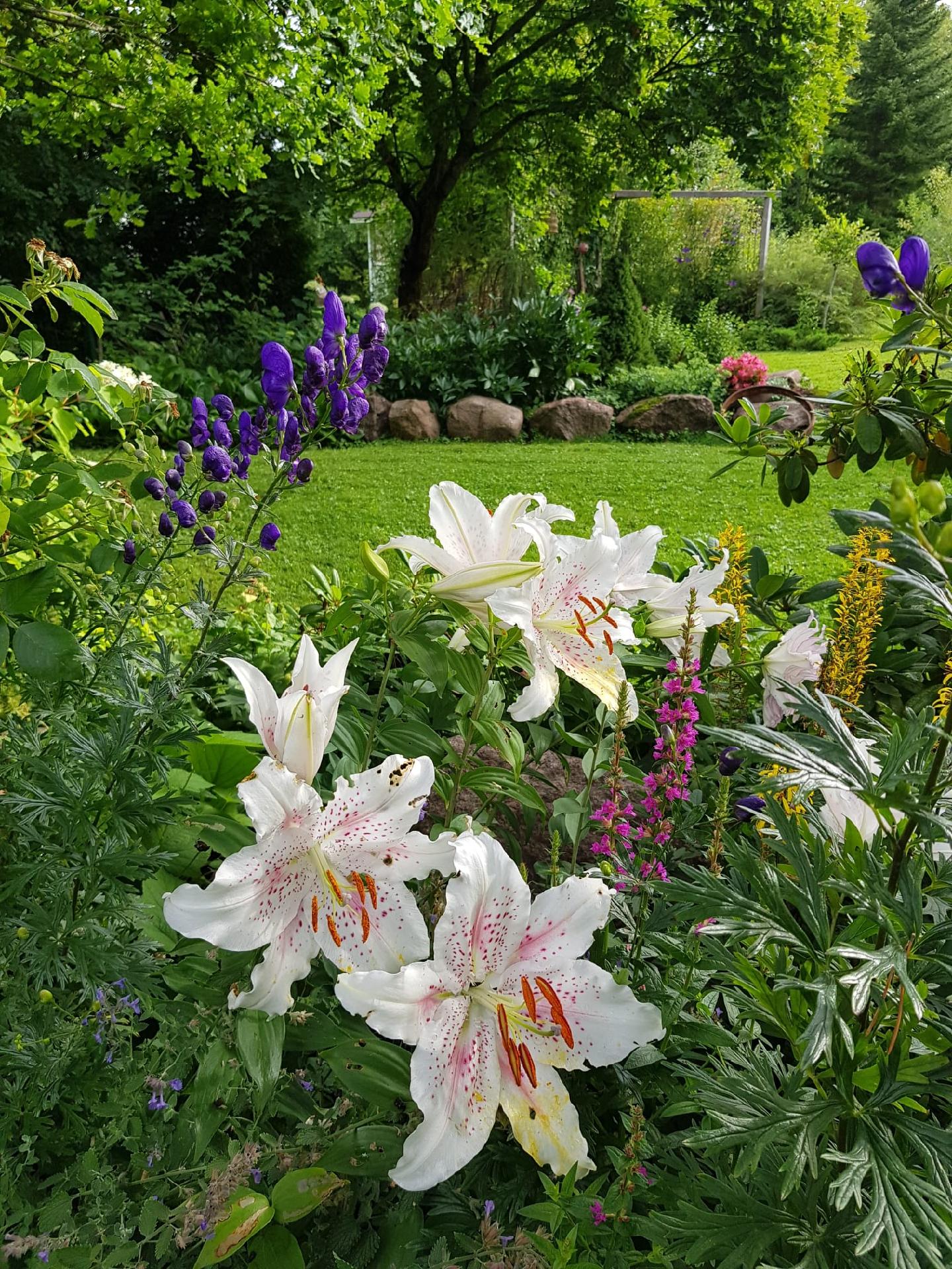 Vallikatu 11, Kierikkala, Kotka