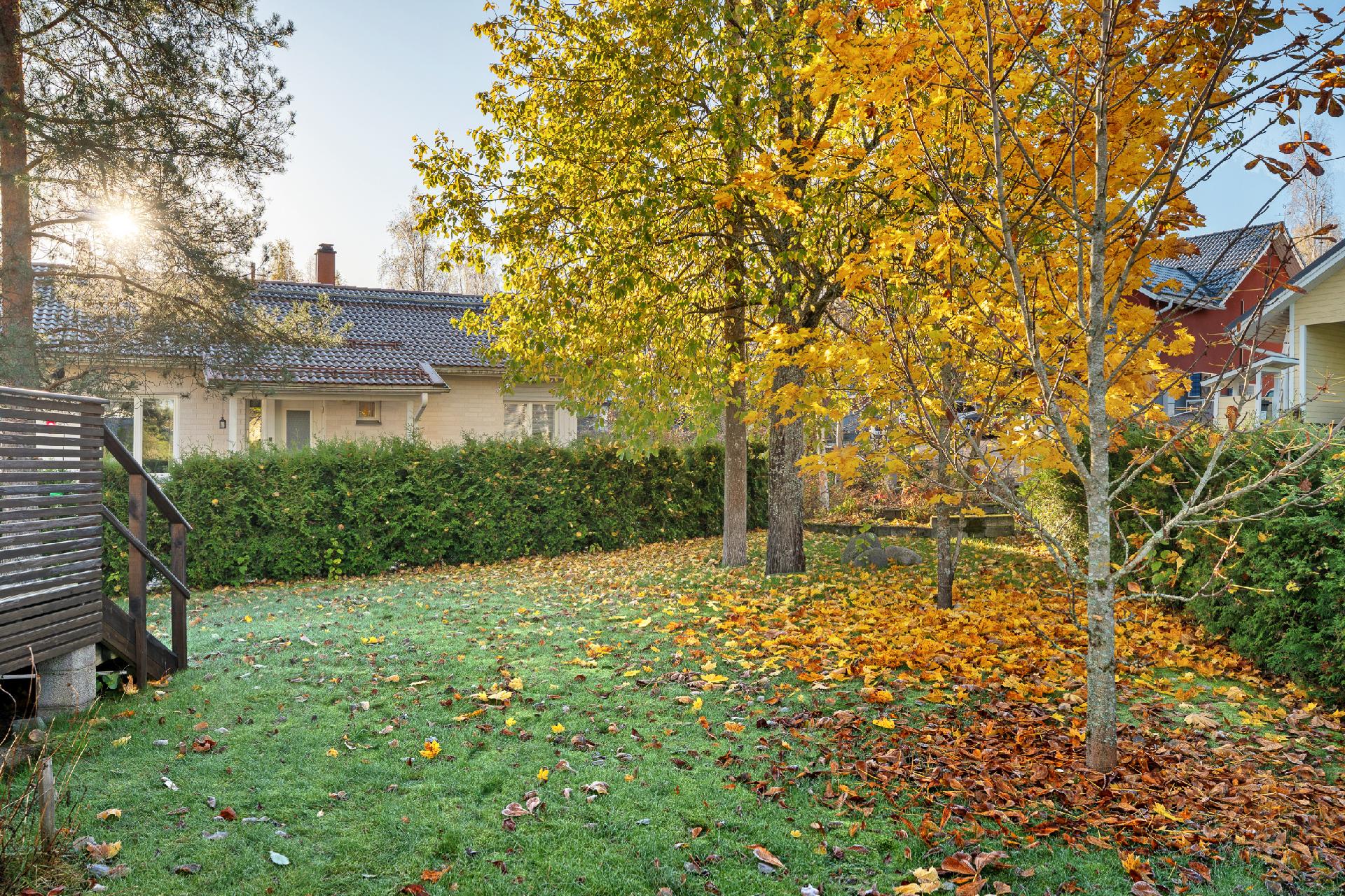 Etelä/länsisuuntainen piha