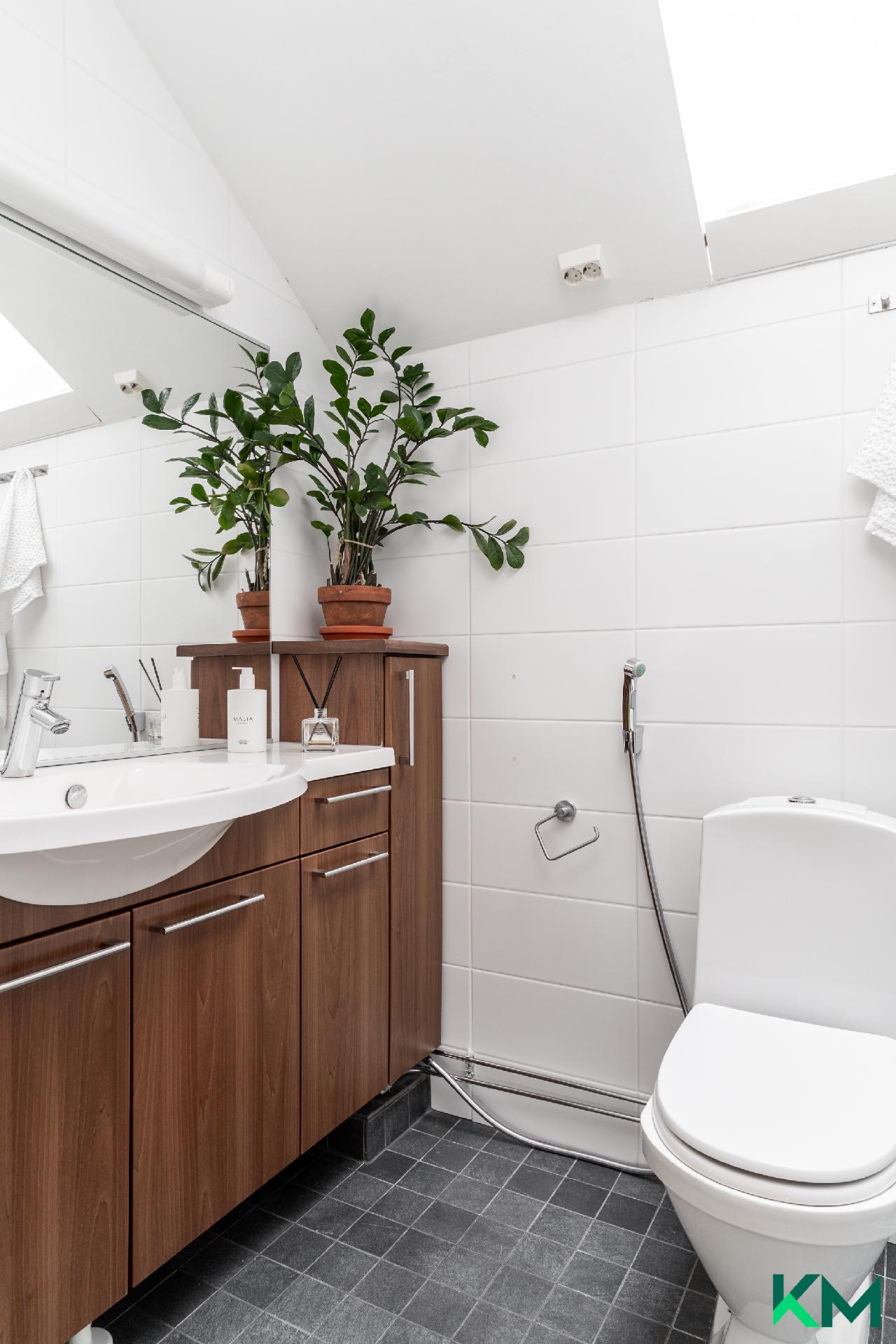 Yläkerran kylpyhuone jossa myös suihkutila