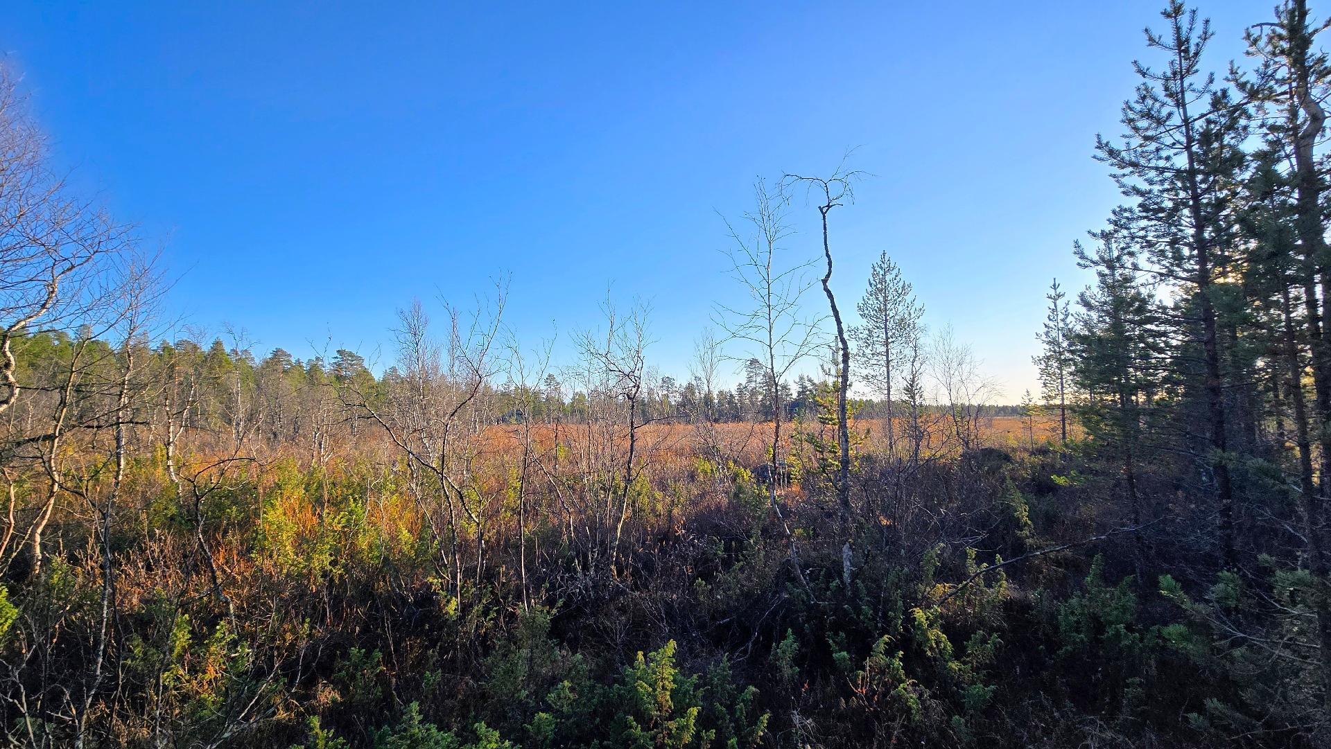 Näkymä puron suuntaan