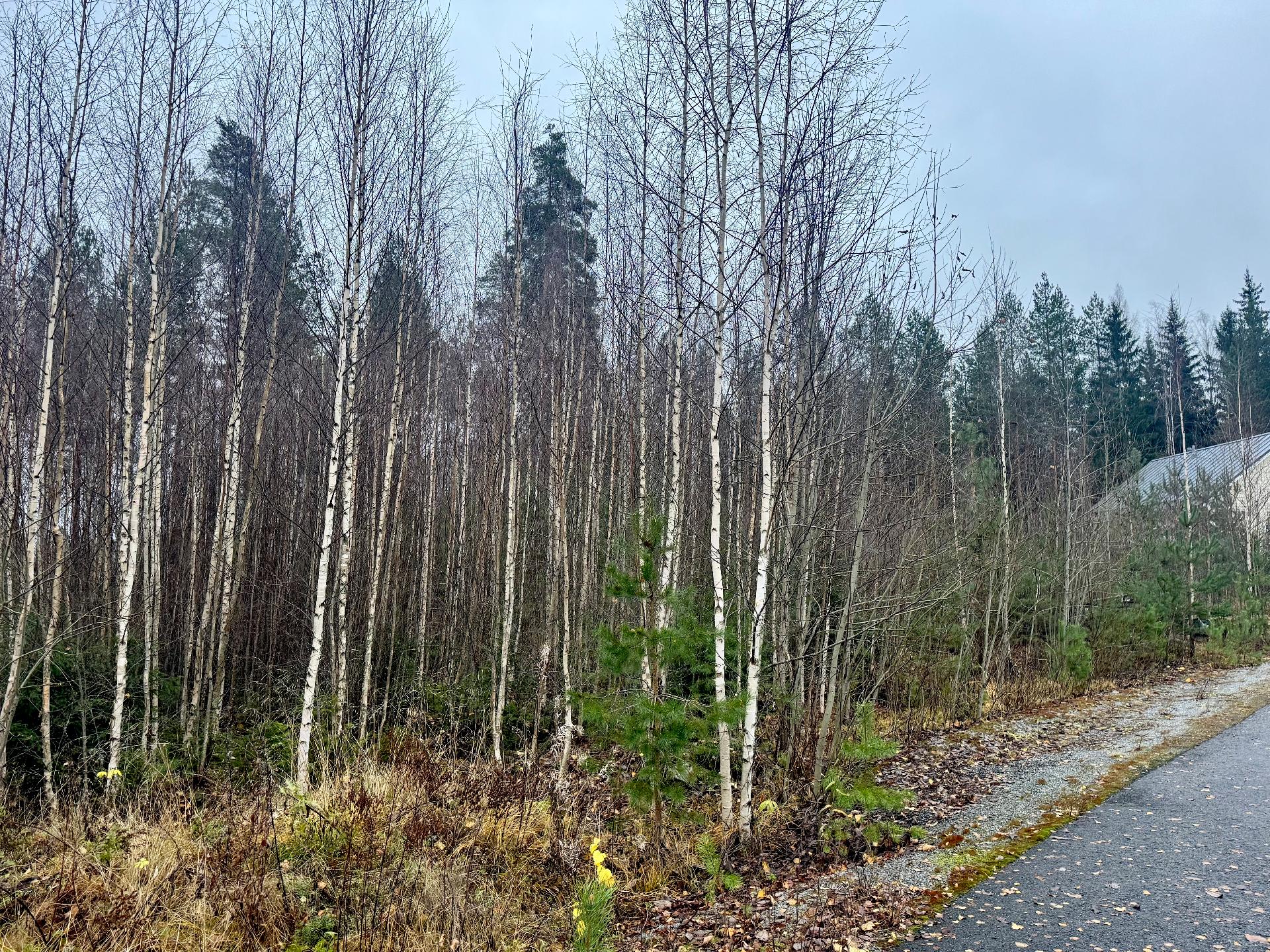 Sudenkorennonkuja 22, Siiri, Hämeenlinna