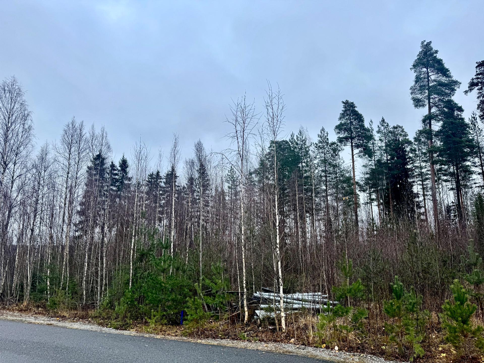 Sudenkorennonkuja 22, Siiri, Hämeenlinna