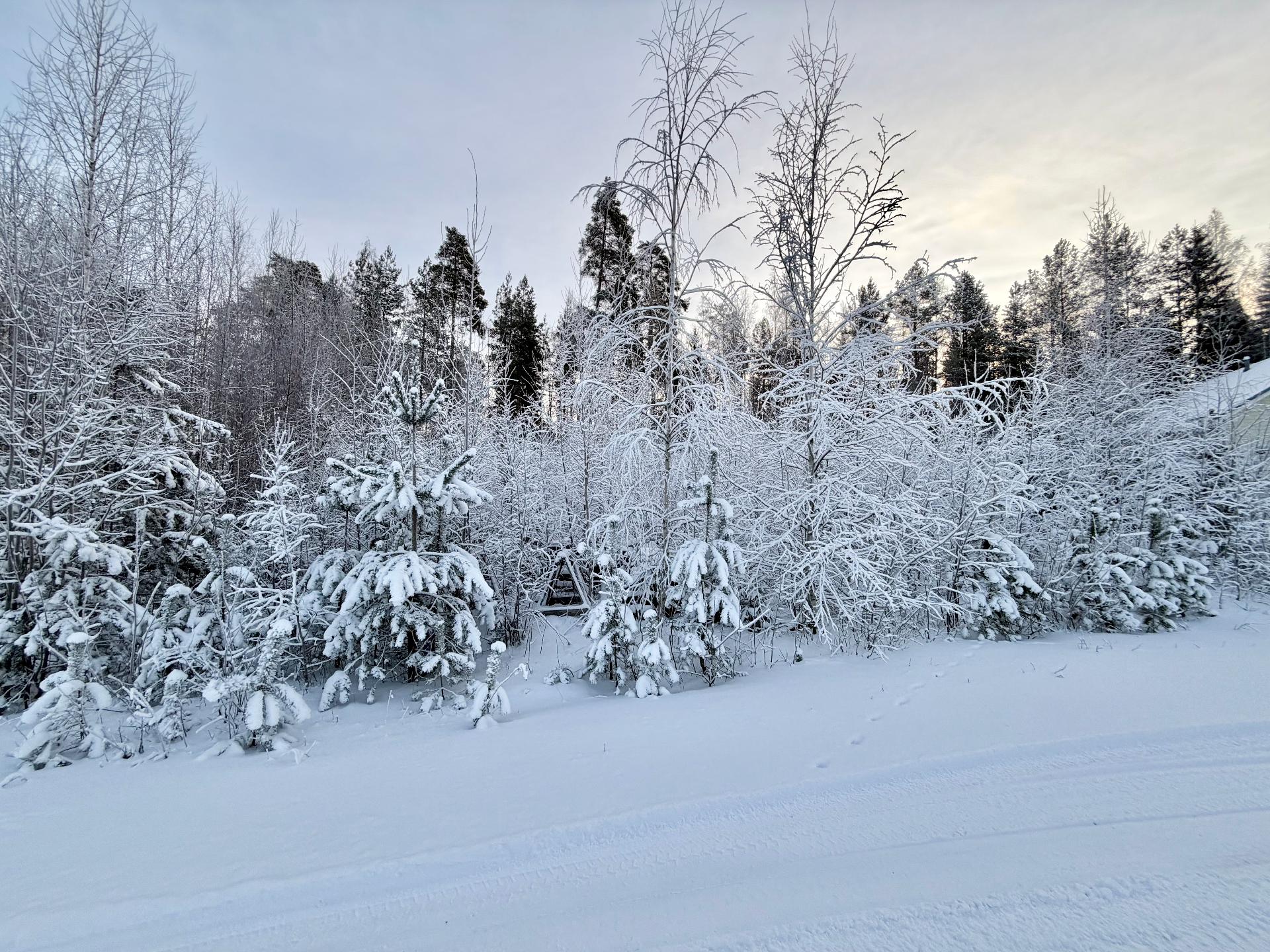 Sudenkorennonkuja 22, Siiri, Hämeenlinna