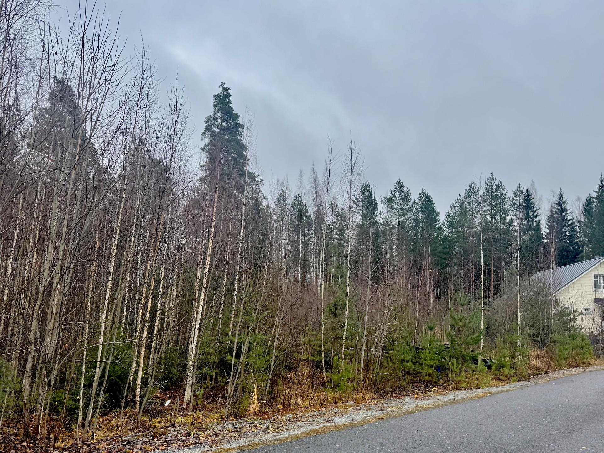 Sudenkorennonkuja 22, Siiri, Hämeenlinna