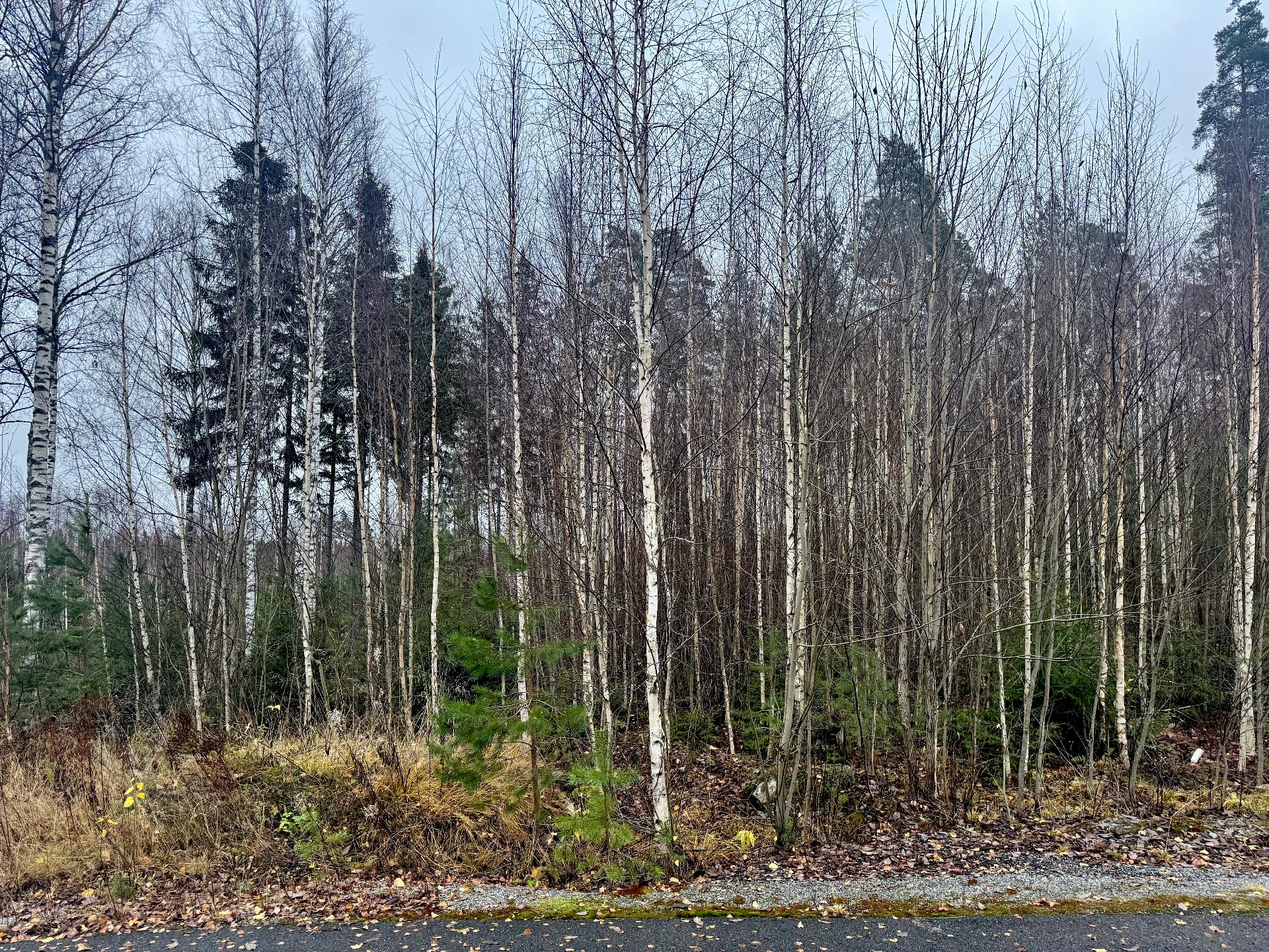 Sudenkorennonkuja 24, Siiri, Hämeenlinna