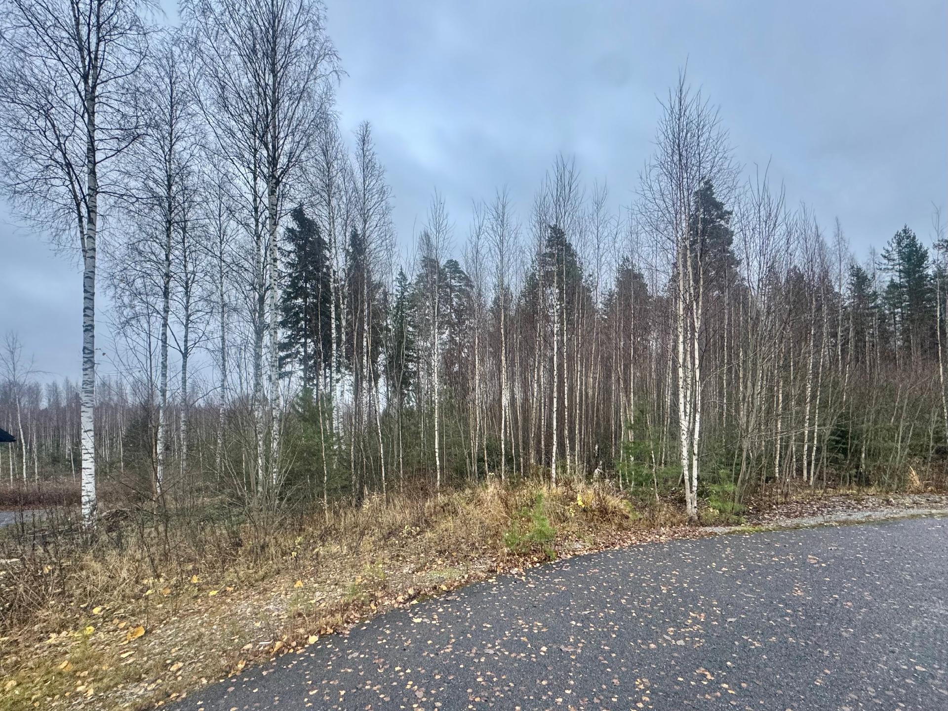 Sudenkorennonkuja 24, Siiri, Hämeenlinna