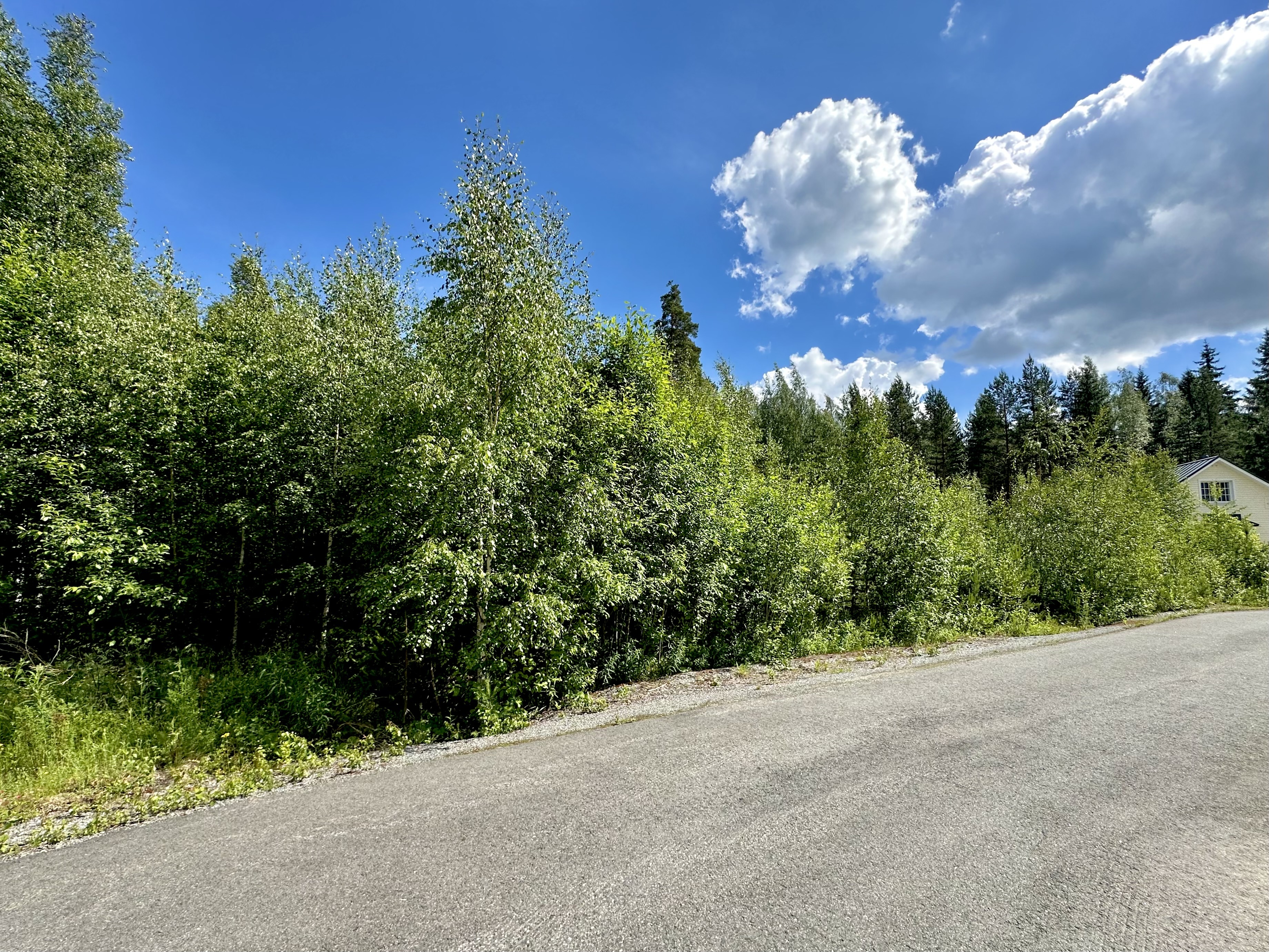 Sudenkorennonkuja 24, Siiri, Hämeenlinna