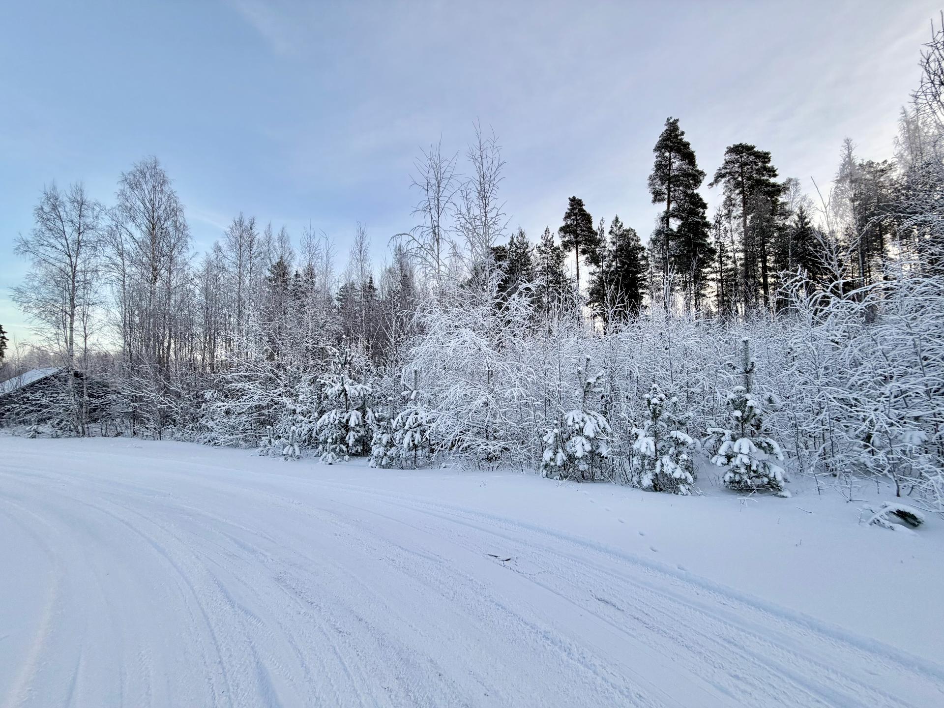 Sudenkorennonkuja 24, Siiri, Hämeenlinna