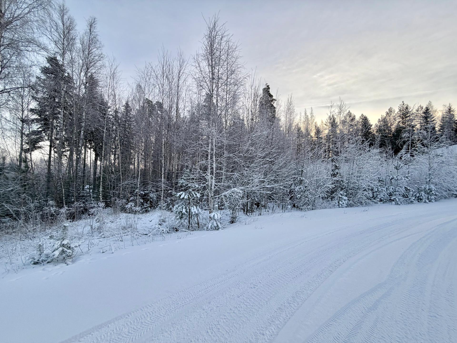 Sudenkorennonkuja 24, Siiri, Hämeenlinna