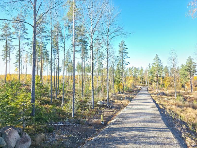 Rantsilanmäki -, Taavetti, Luumäki