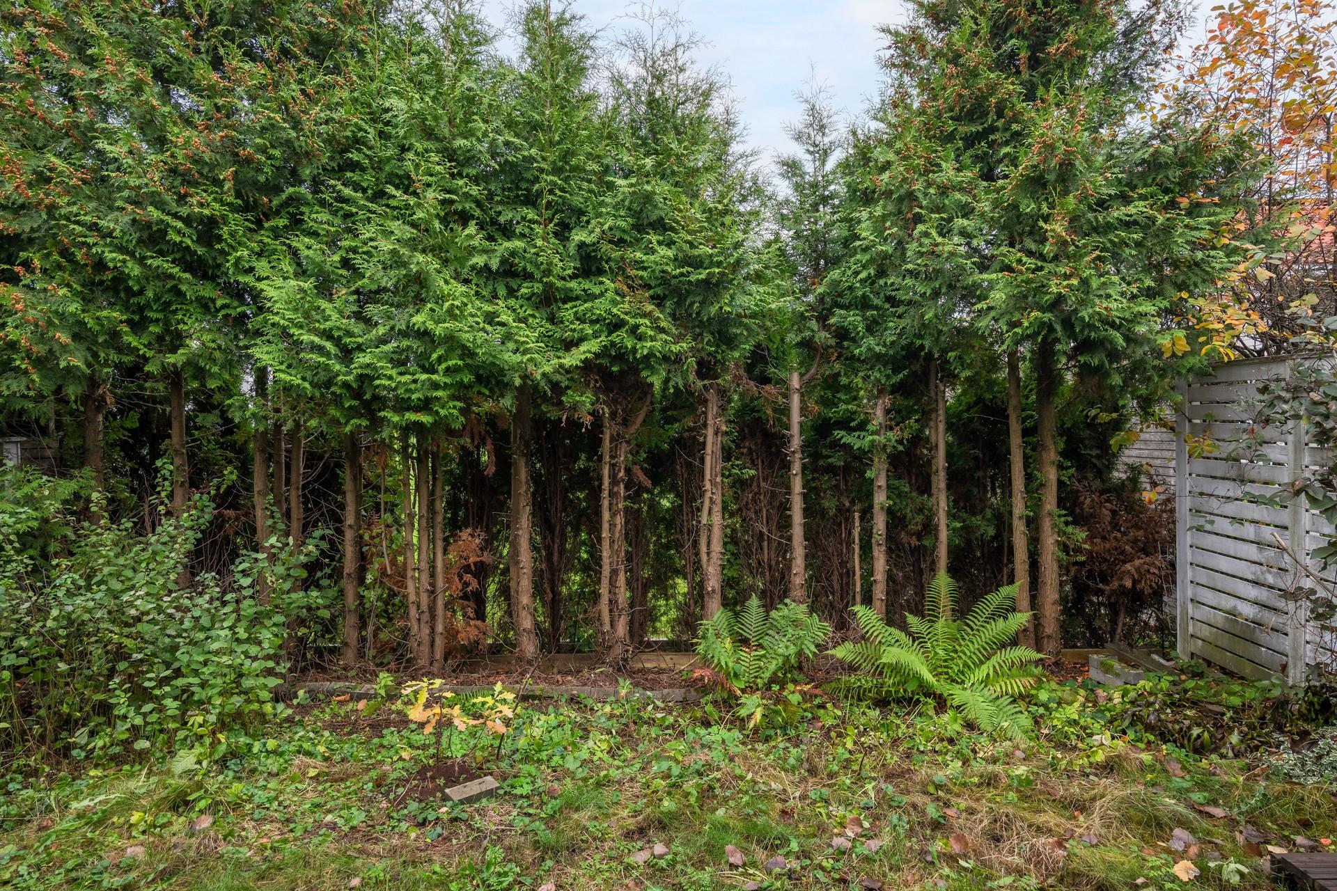 Pitkämäentie 46, Paloheinä, Helsinki