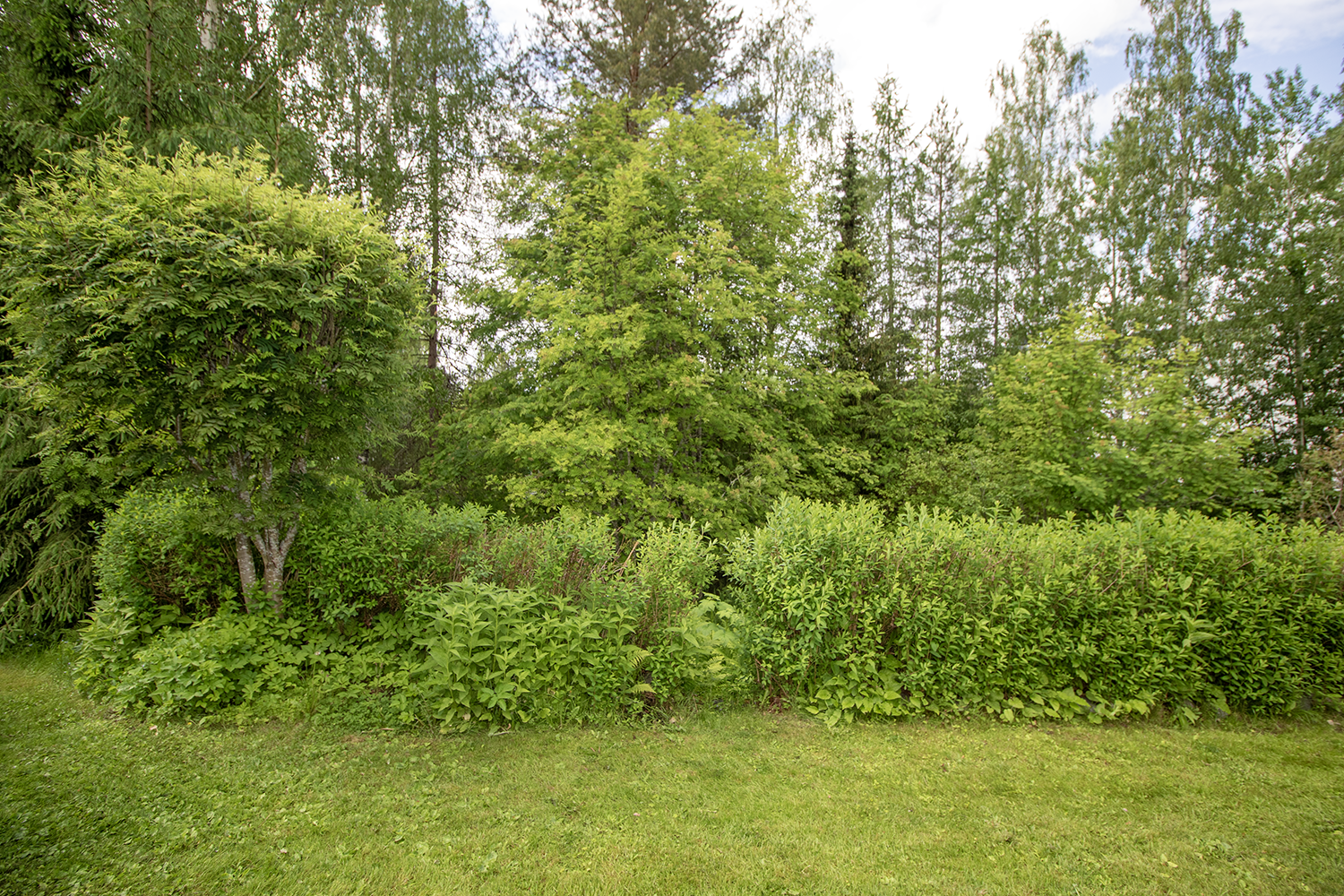 Lentäjänpolku 6, Vuorela, Siilinjärvi