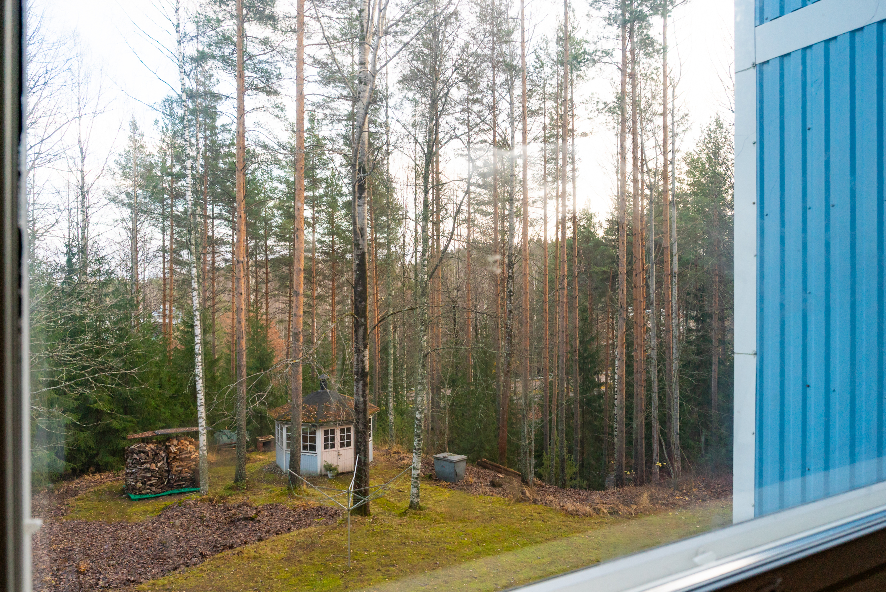 Näkymä ikkunasta