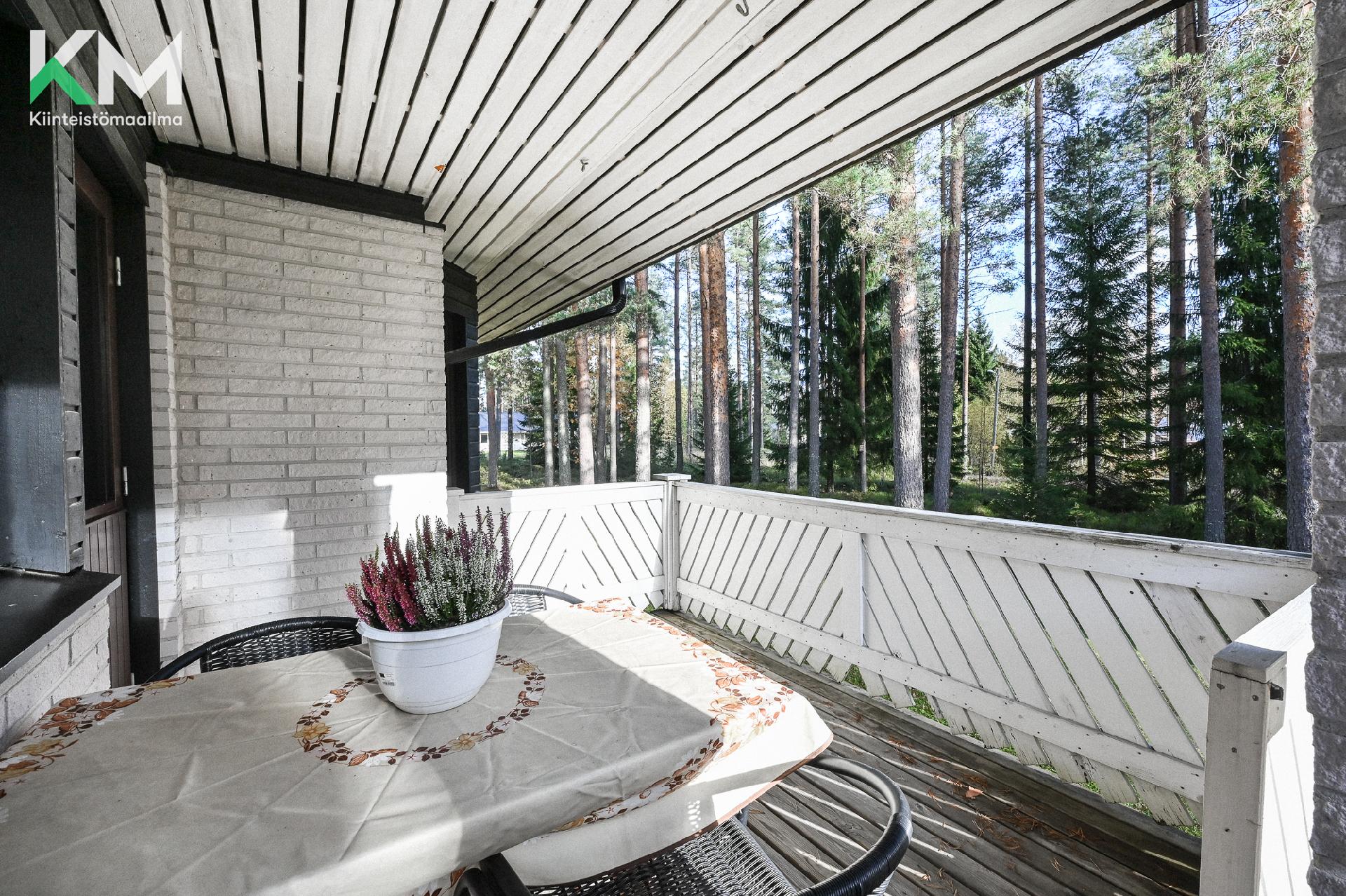 Kärppätie 2, Autio, Kurikka