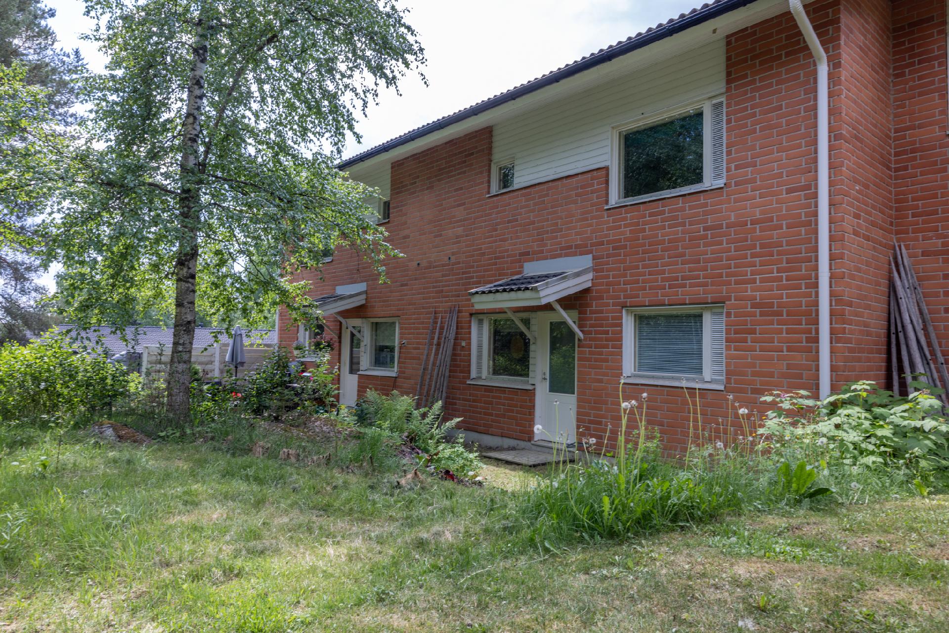 takapihaa (kesäkuva)