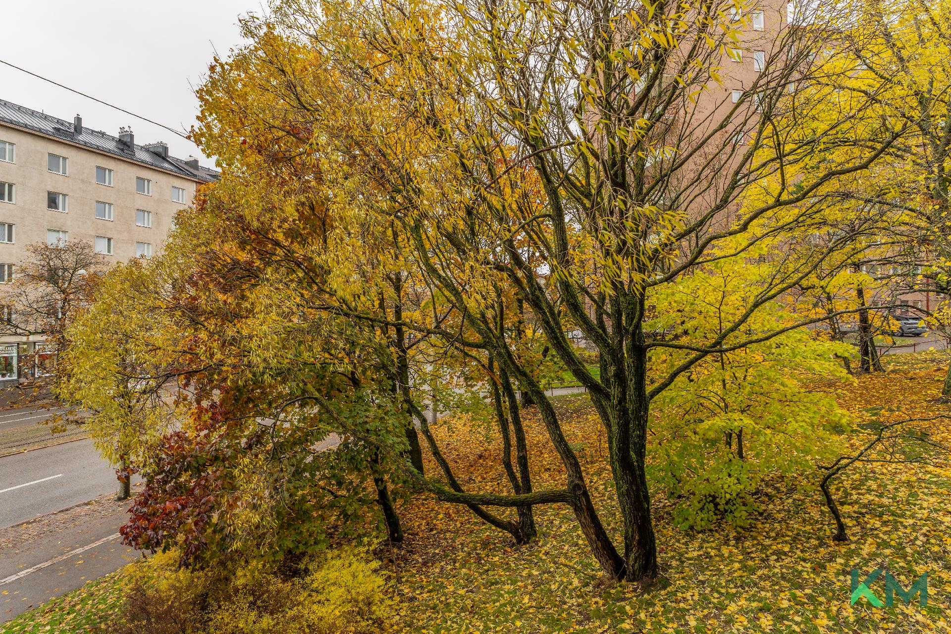 Mannerheimintie 77, Meilahti, Helsinki