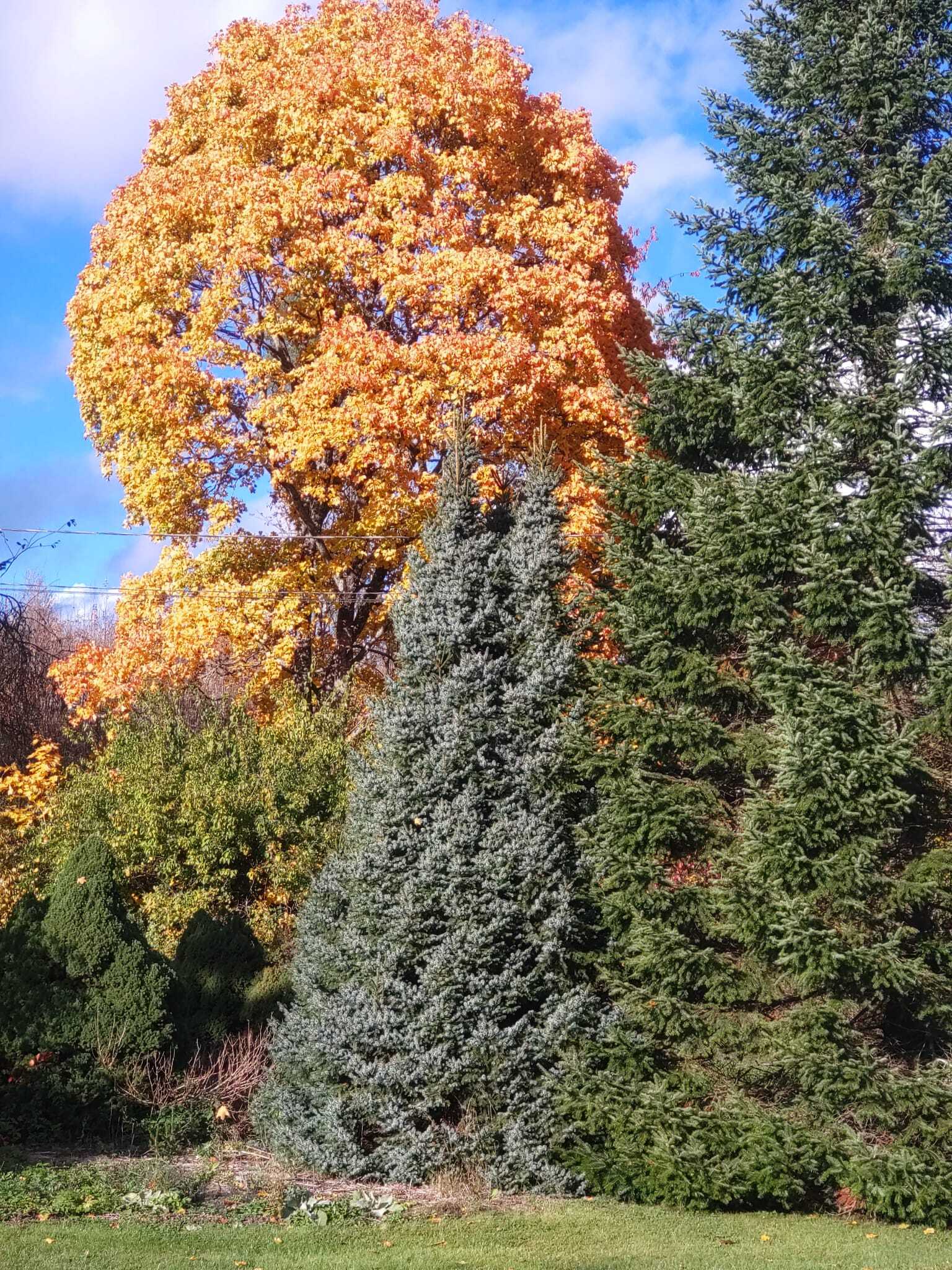 Myyjän omasta albumista